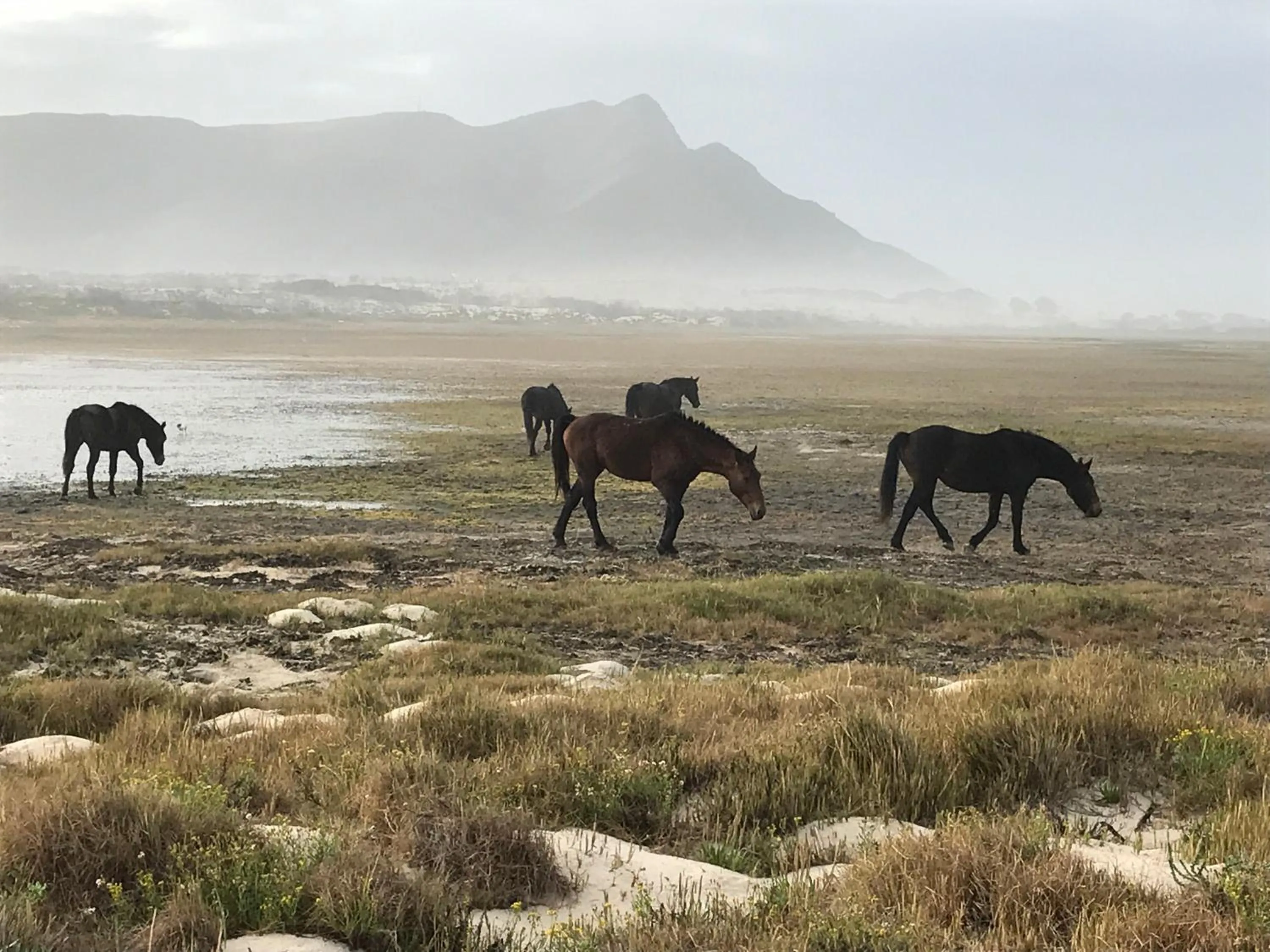 Nearby landmark in Fisherhaven Travellers Lodge