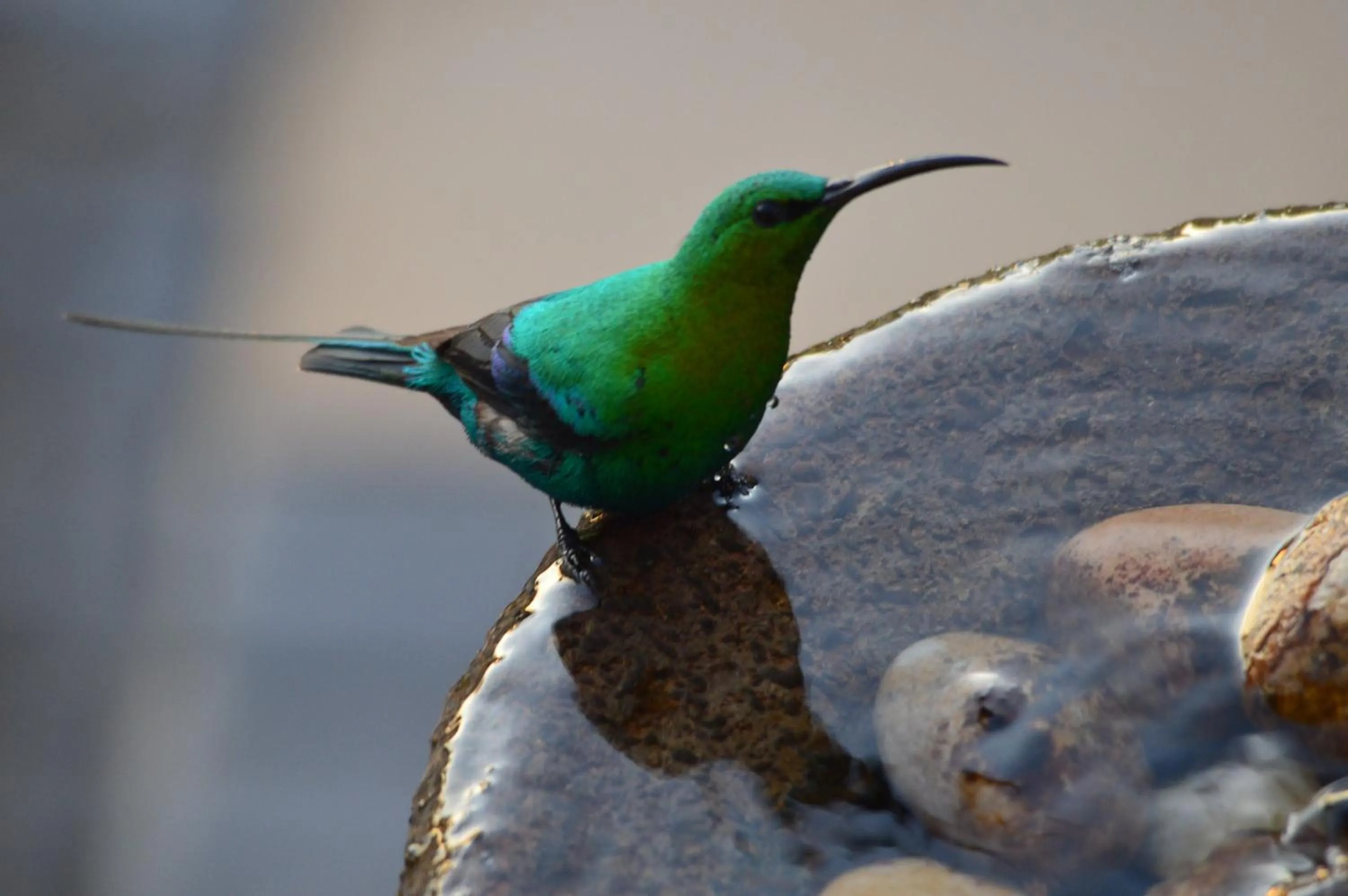 Day in Fisherhaven Travellers Lodge