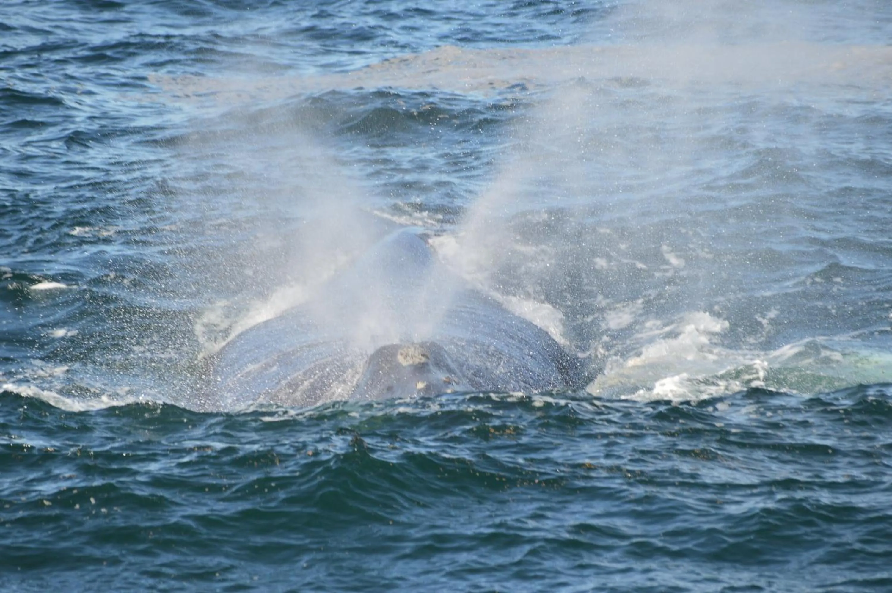 Nearby landmark in Fisherhaven Travellers Lodge