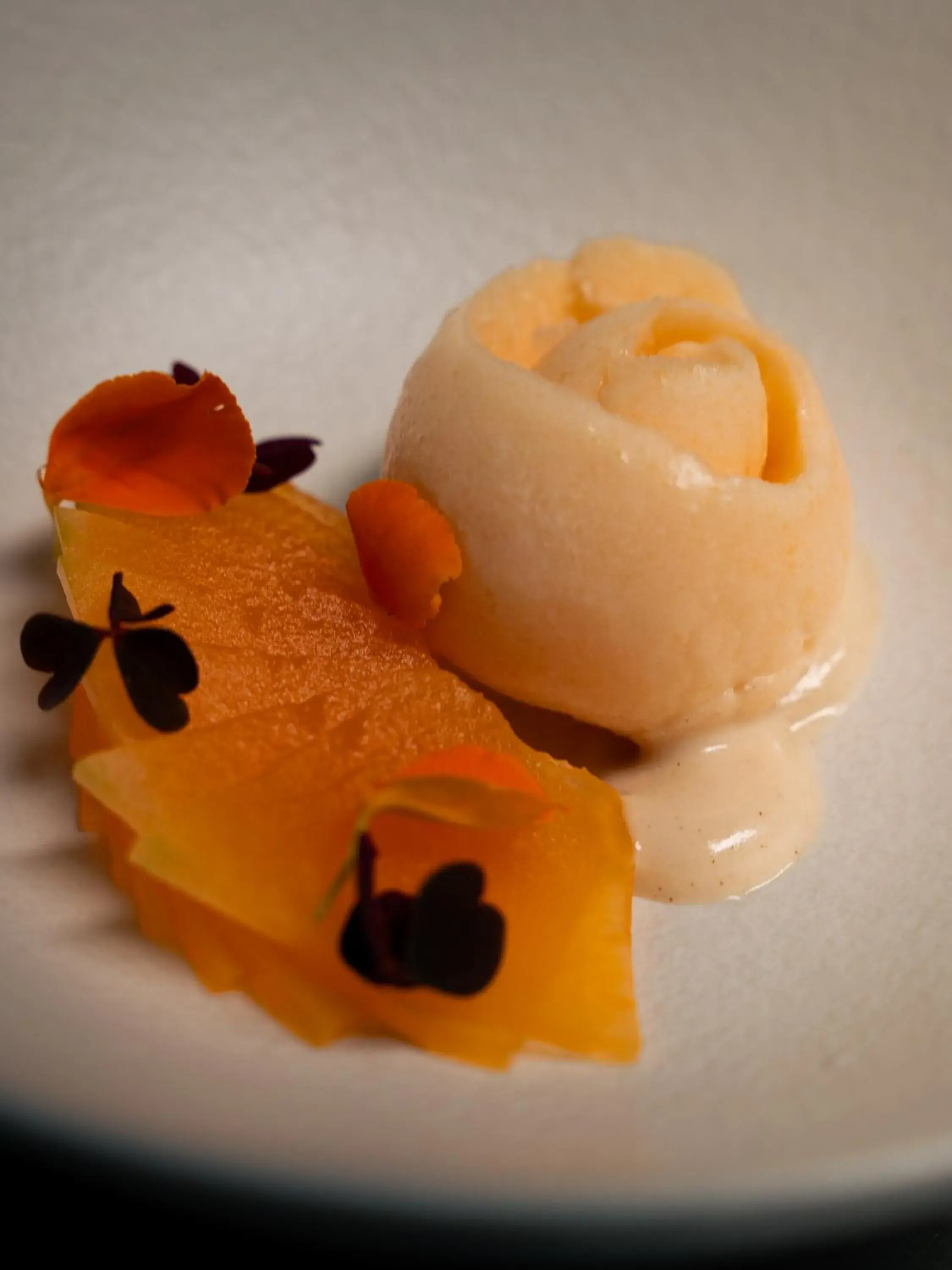 Restaurant/places to eat in Boutique Hotel Albus Amsterdam Centre Restaurant/places to eat in Boutique Hotel Albus Amsterdam Centre