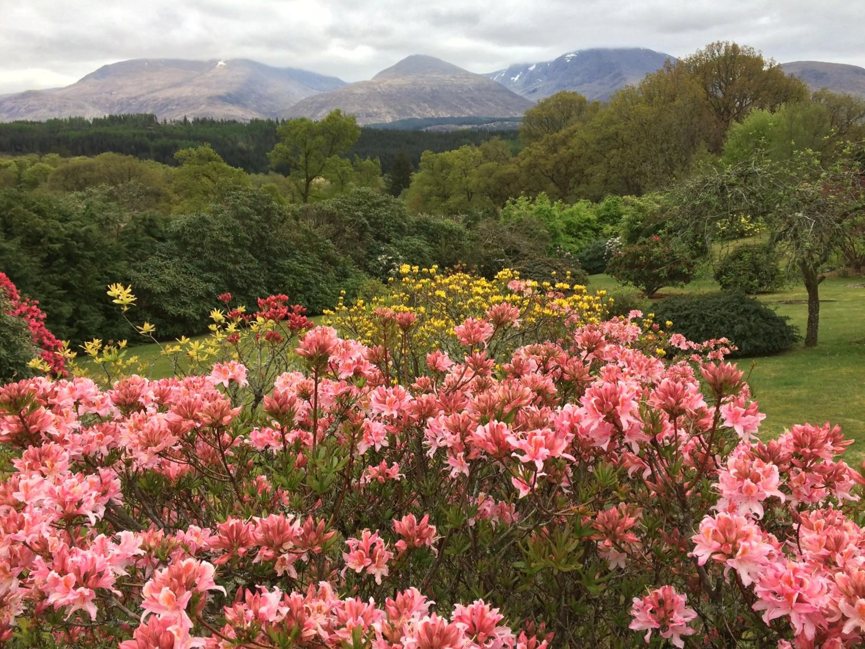 Garden view in Torbeag House