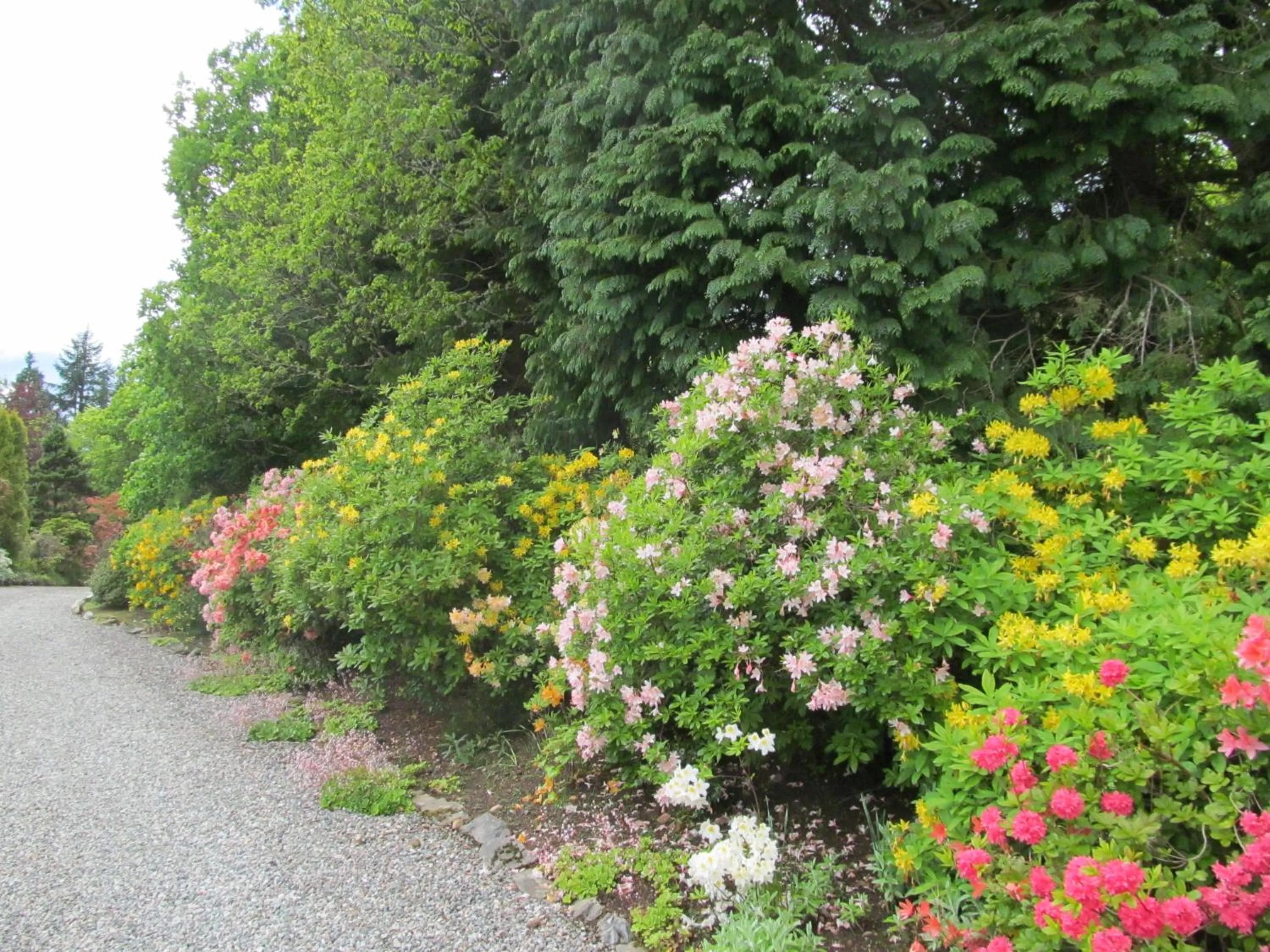 Garden in Torbeag House