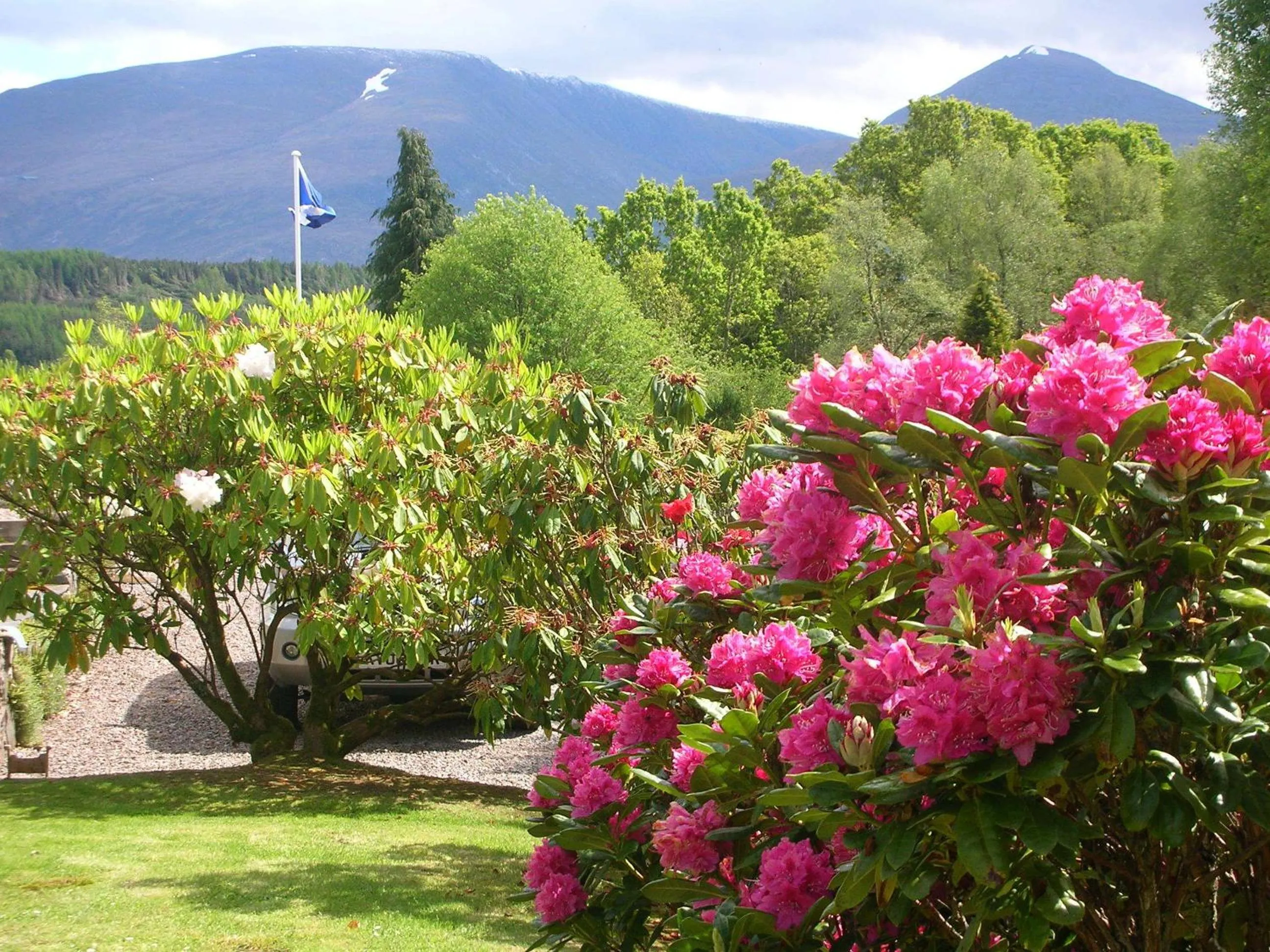 Spring in Torbeag House