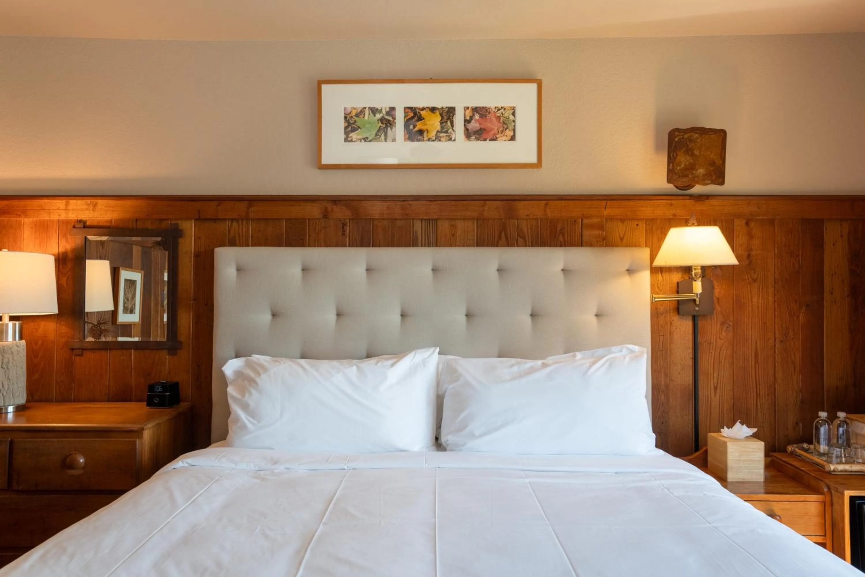 King Room with Mountain View in Snowbird Mountain Lodge - All-Inclusive Adventure