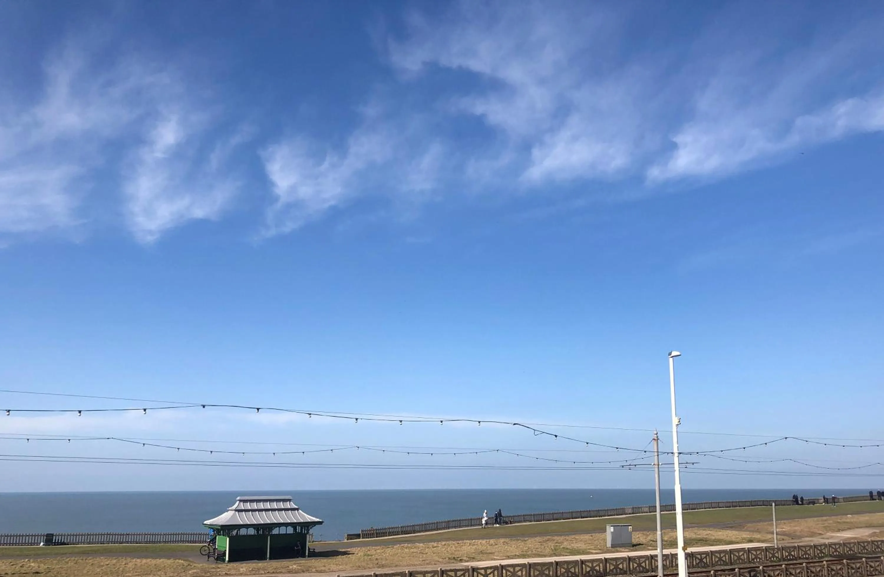 Sea view in The Fossil Tree Hotel