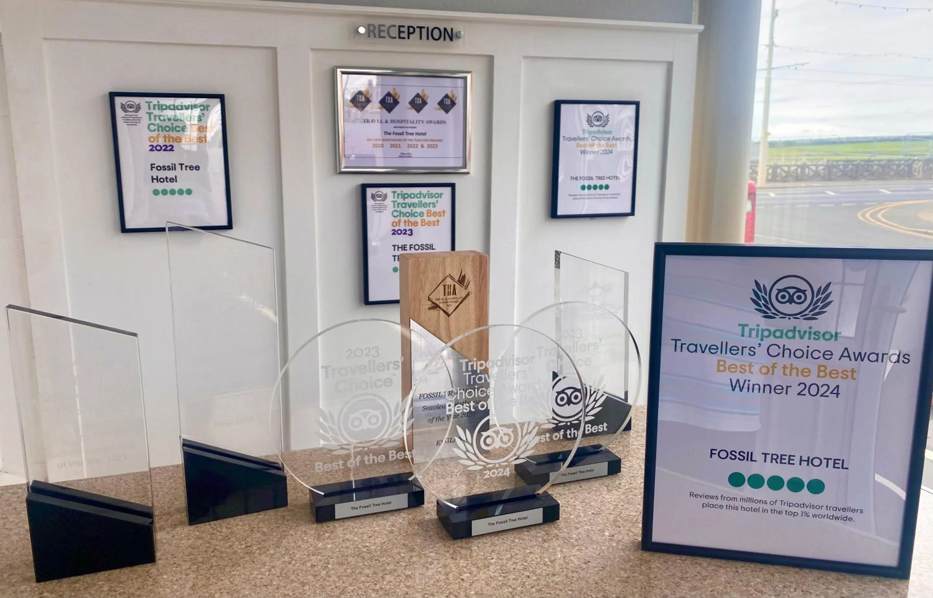 Certificate/Award in The Fossil Tree Hotel