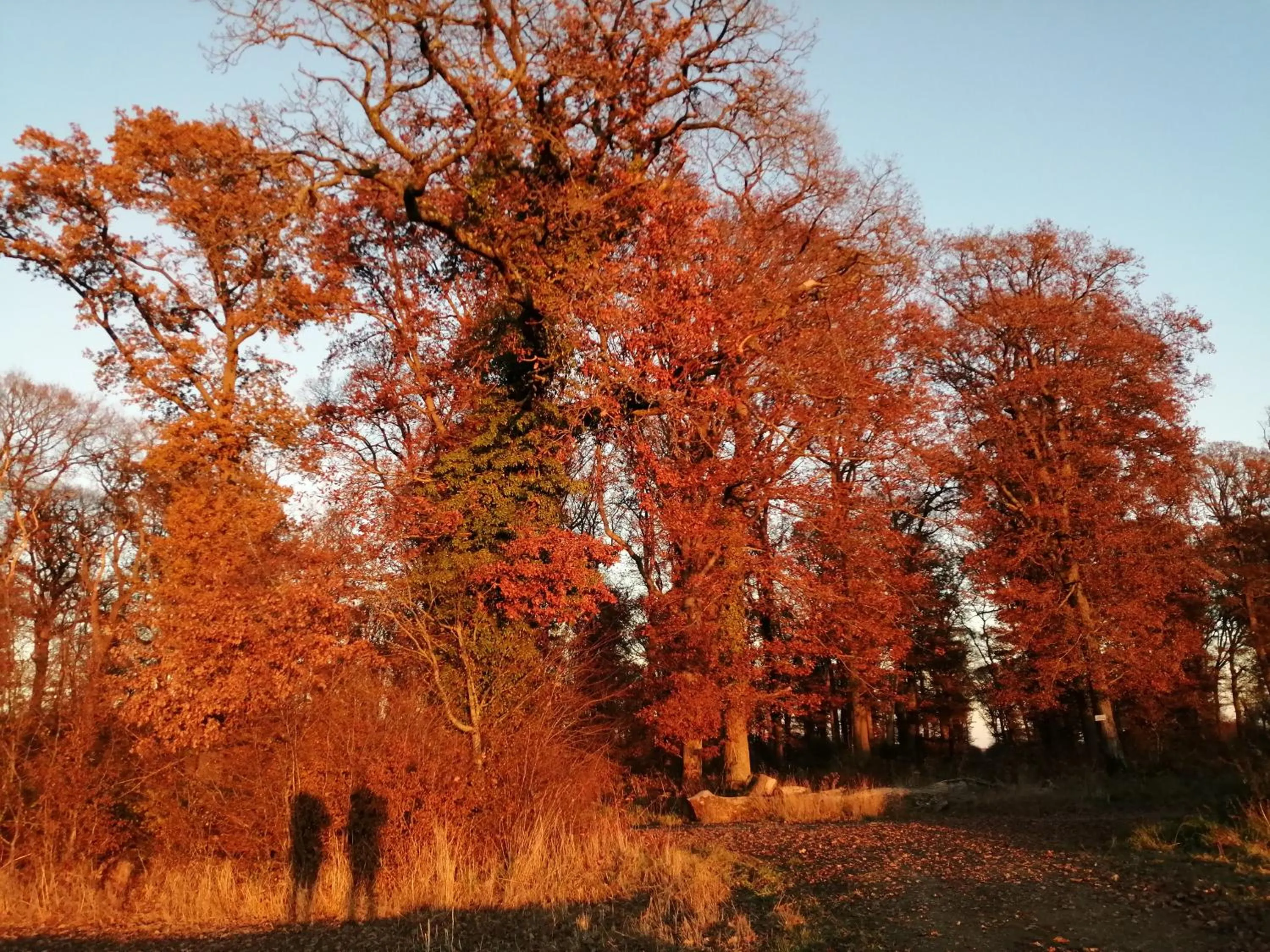 Natural landscape in Ma Gentilhommière