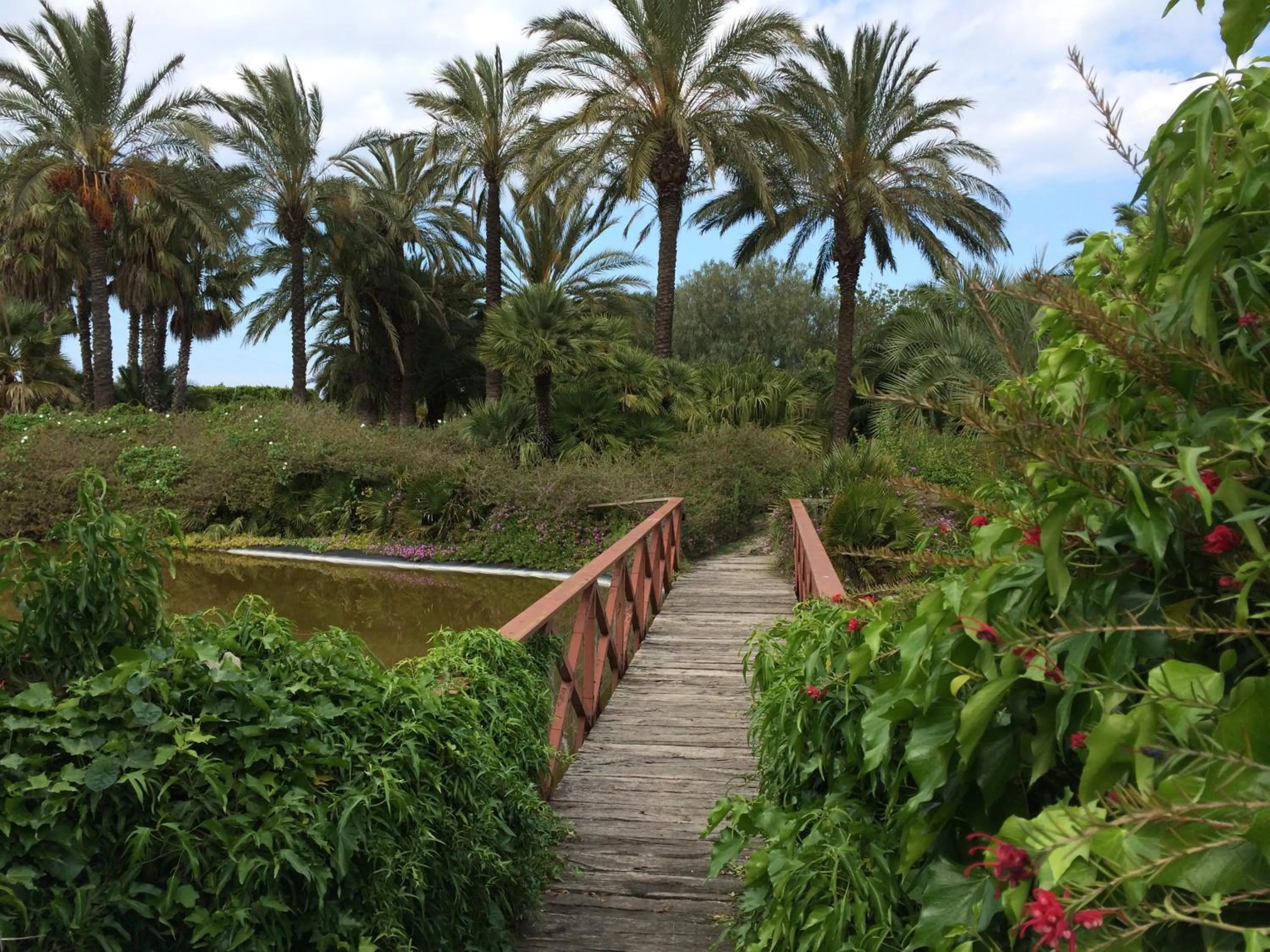 Garden in Seven Maze Charming House