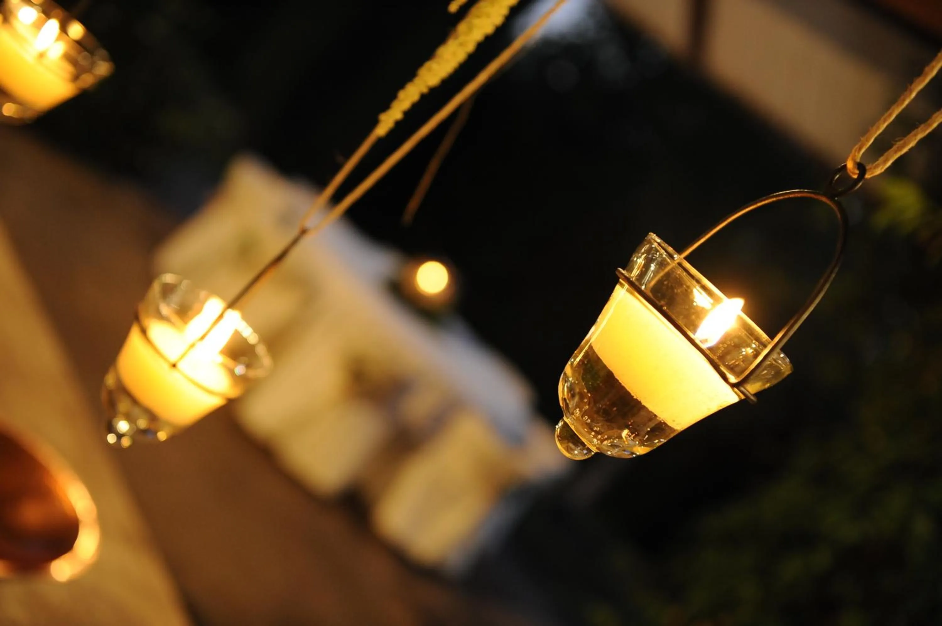 Garden in Seven Maze Charming House