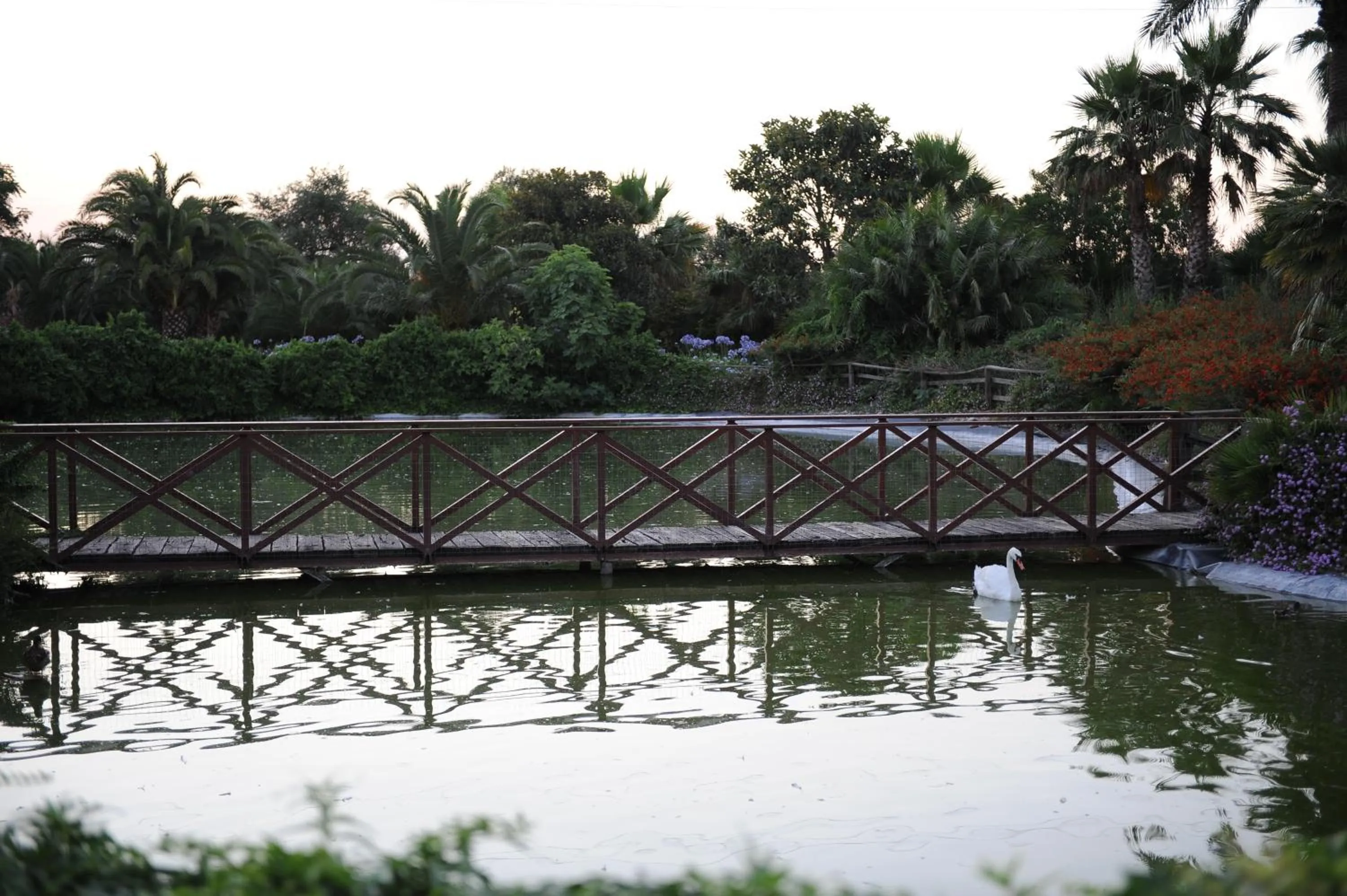 Garden in Seven Maze Charming House