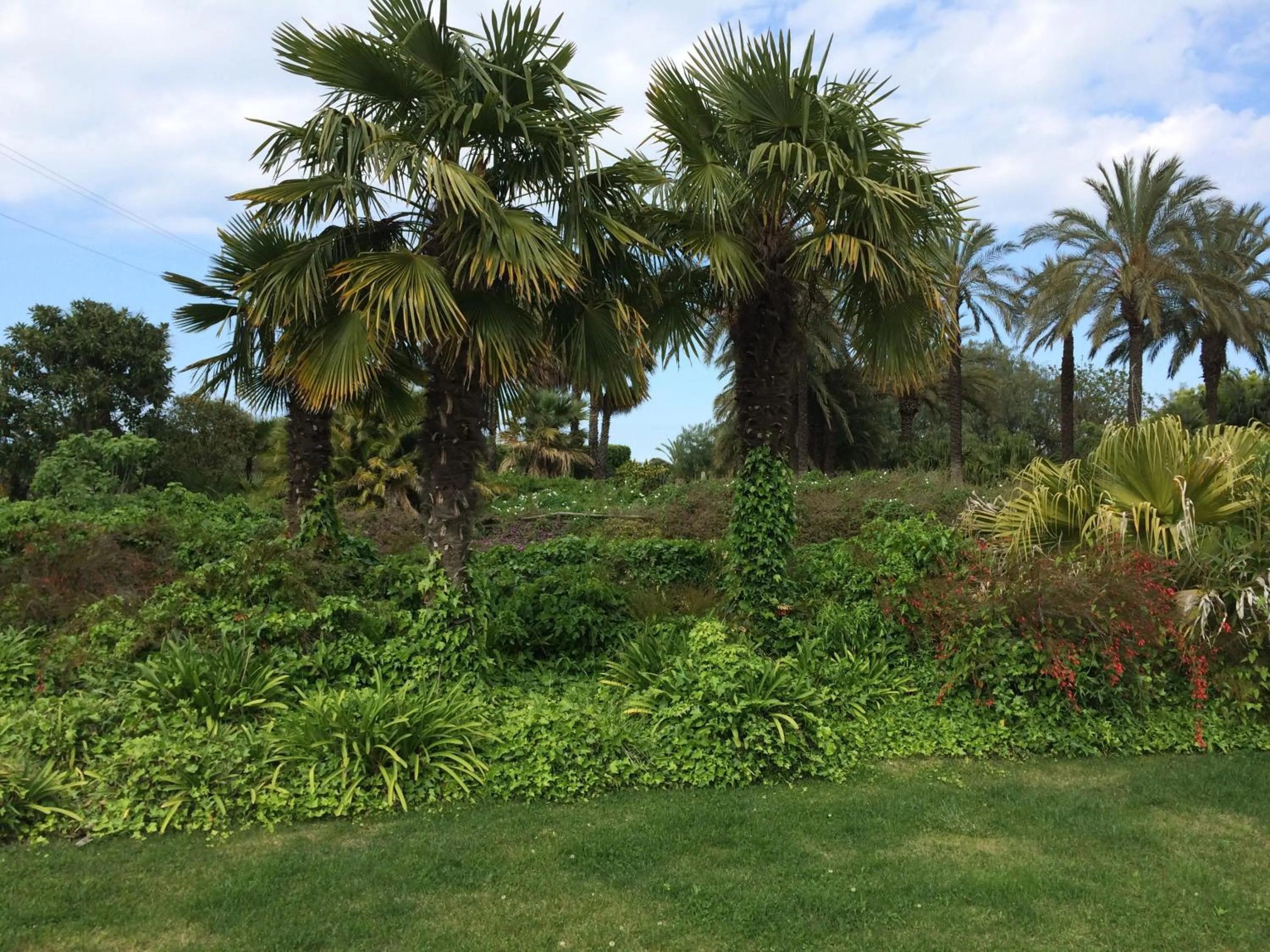 Garden in Seven Maze Charming House