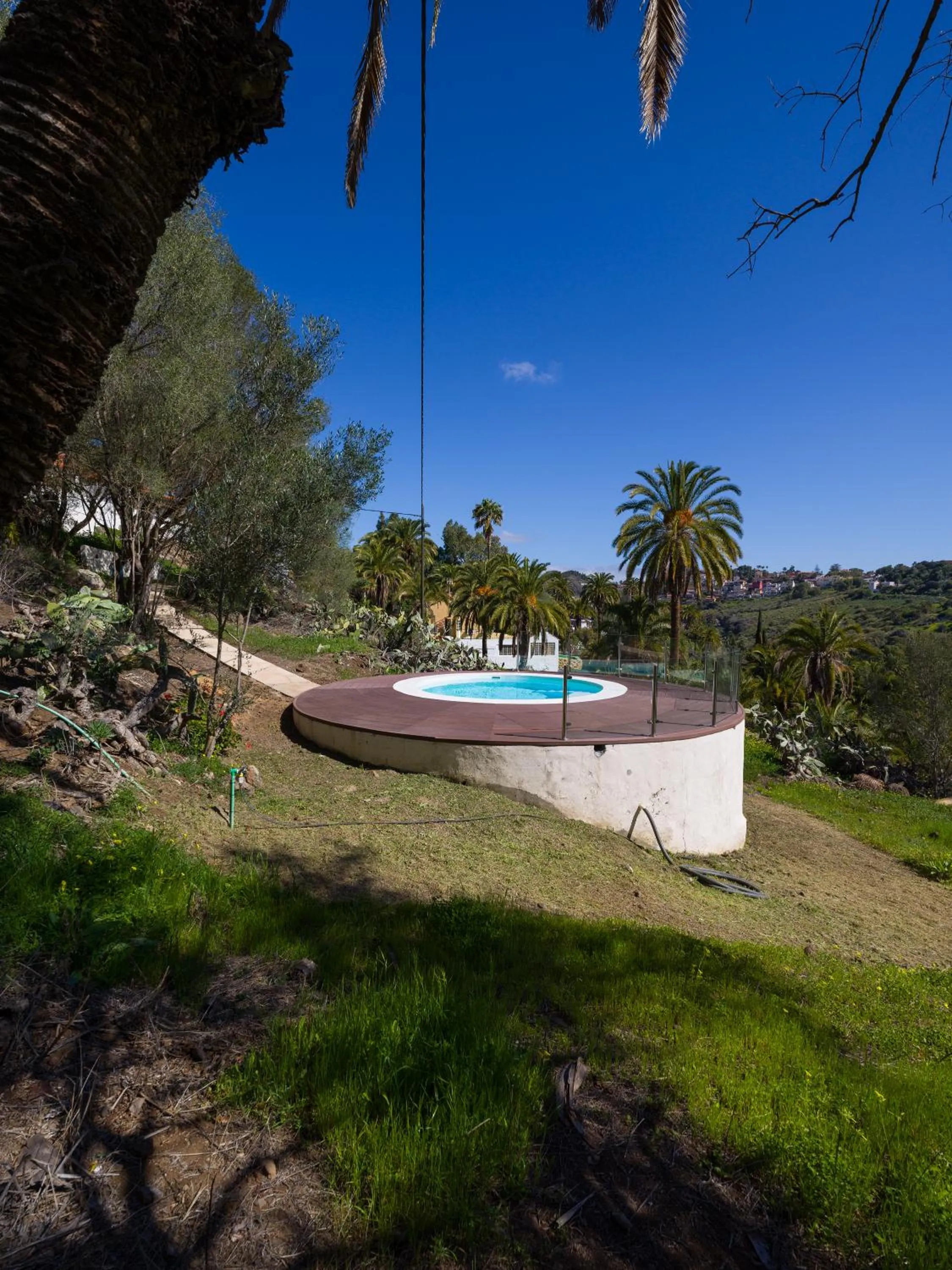 Pool view in Agroturismo Suites Hacienda los Olivos