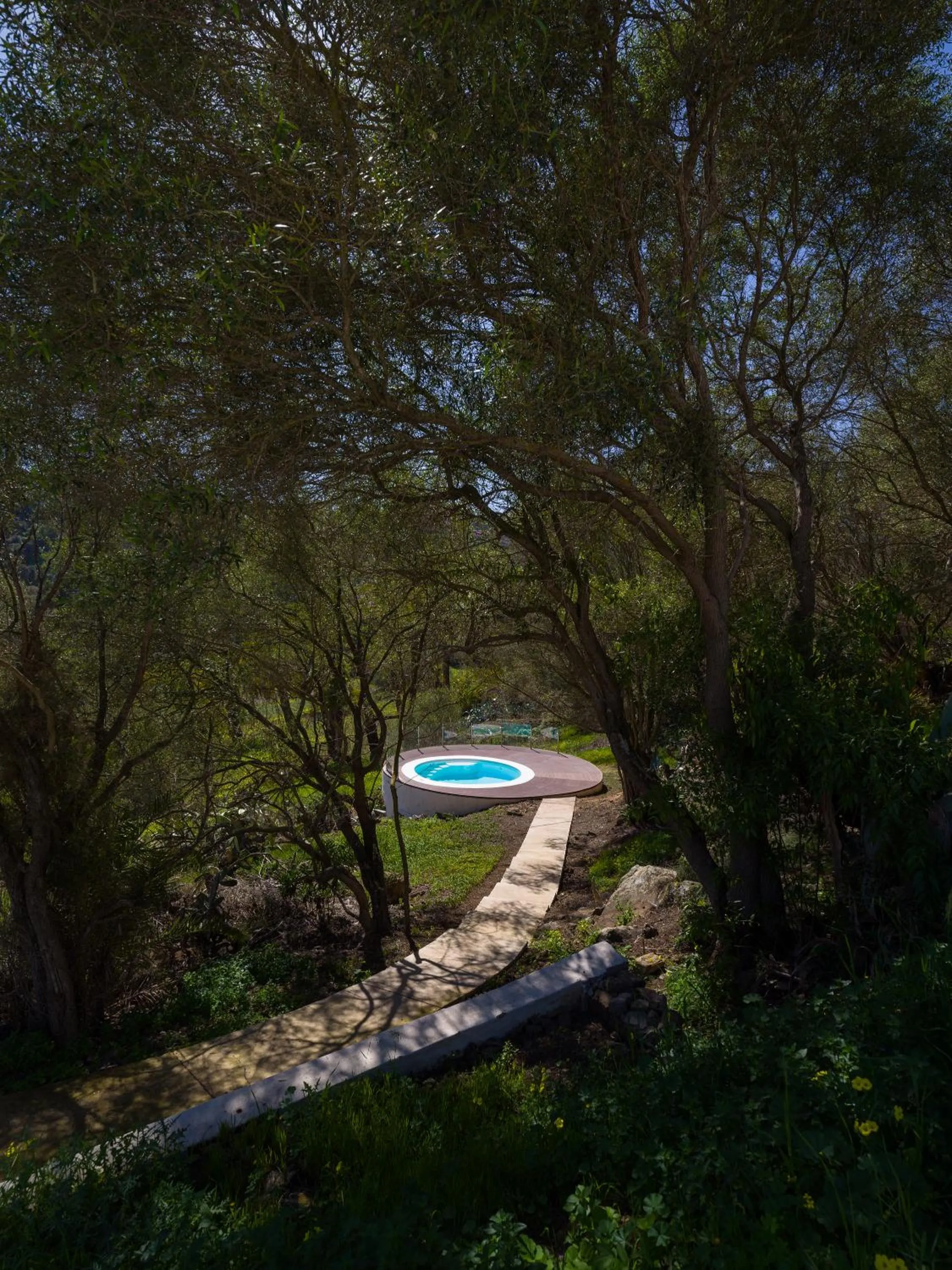 Natural landscape in Agroturismo Suites Hacienda los Olivos