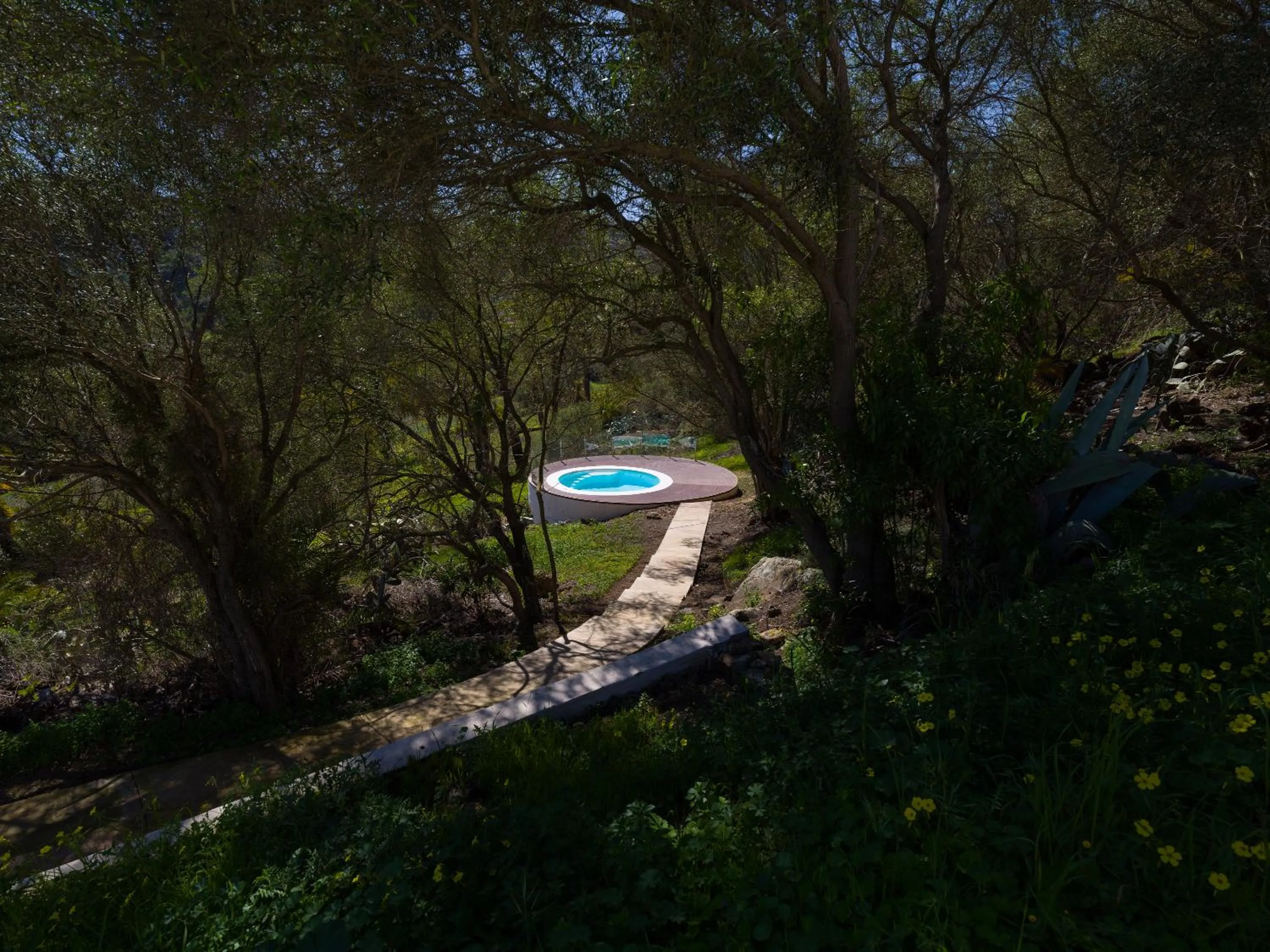 Swimming pool in Agroturismo Suites Hacienda los Olivos