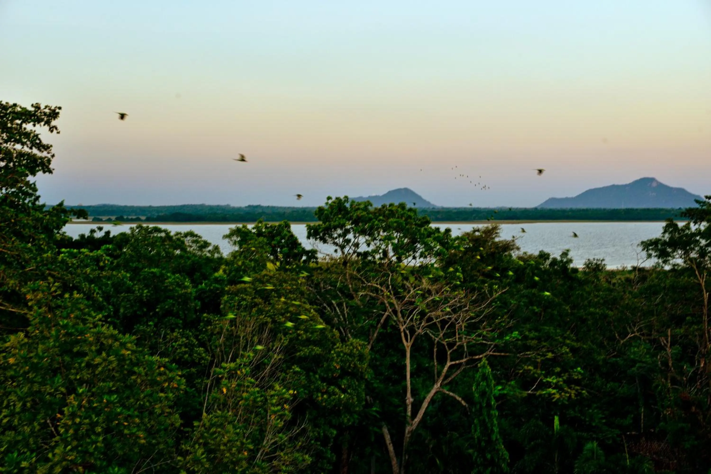 Property building in Ceylan Lodge