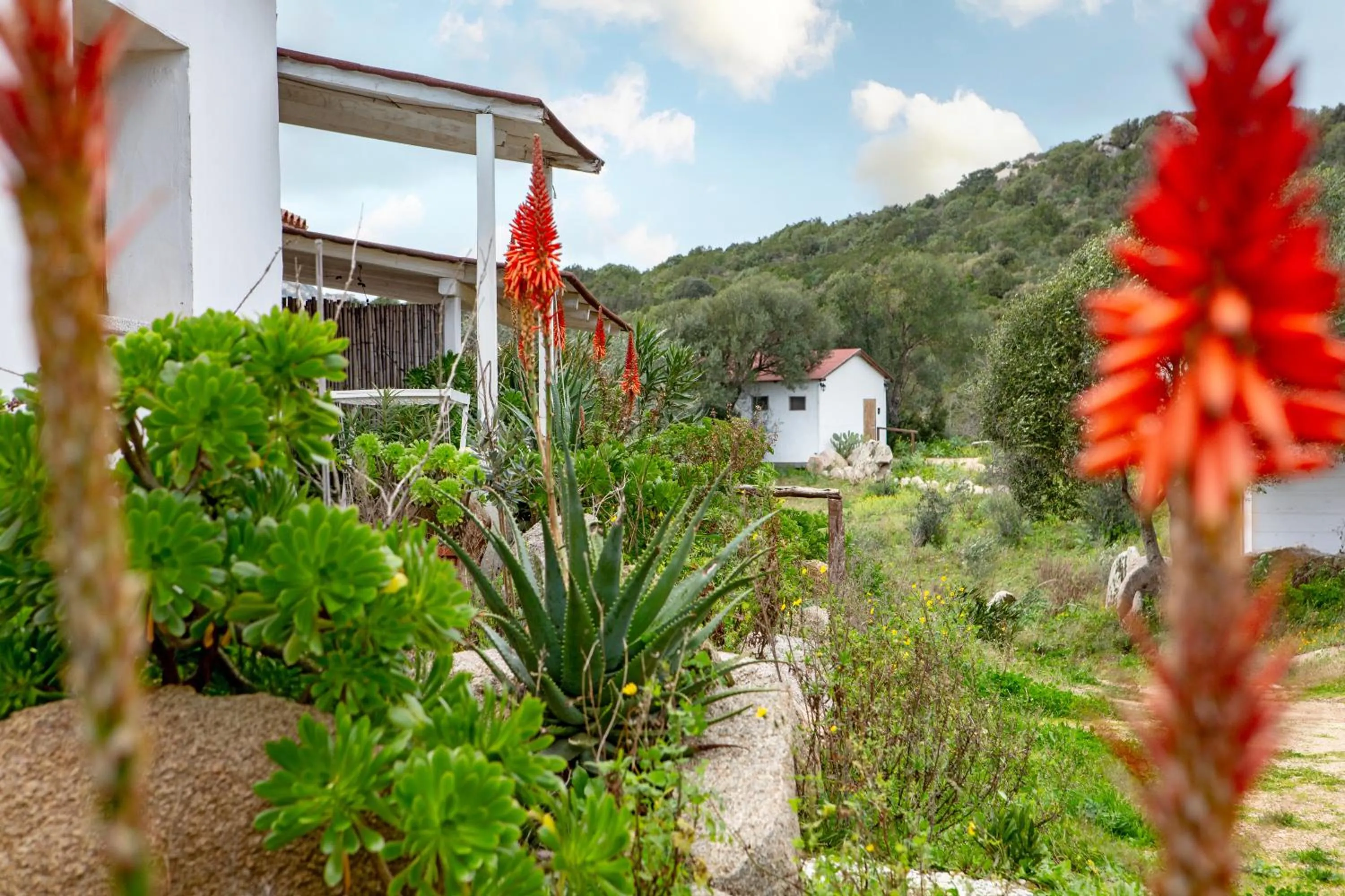 Locanda Domus De Vida