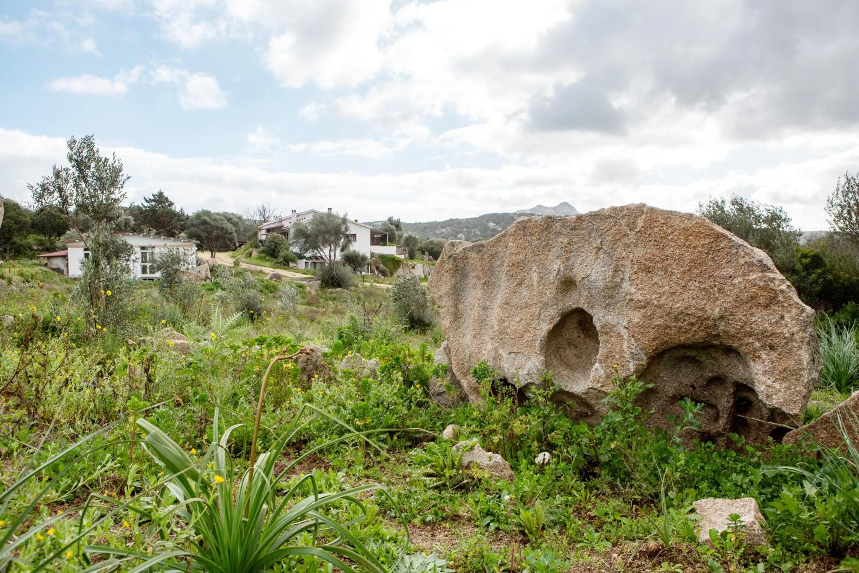 Locanda Domus De Vida