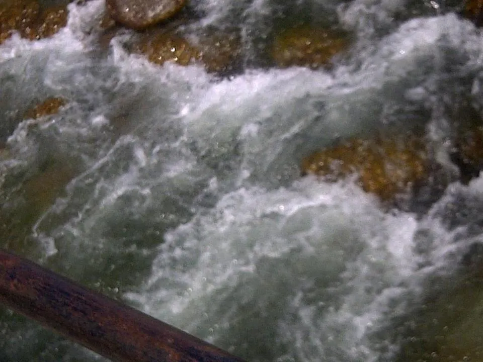 Hotel Centre Point Resorts Palampur