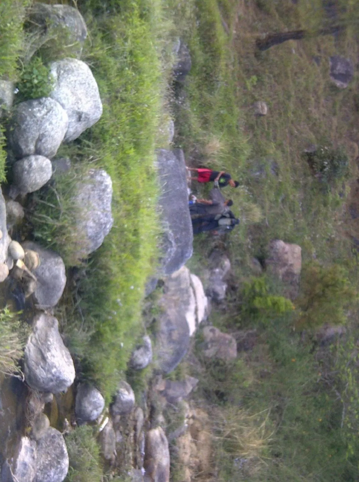 Natural landscape in Hotel Centre Point Resorts Palampur