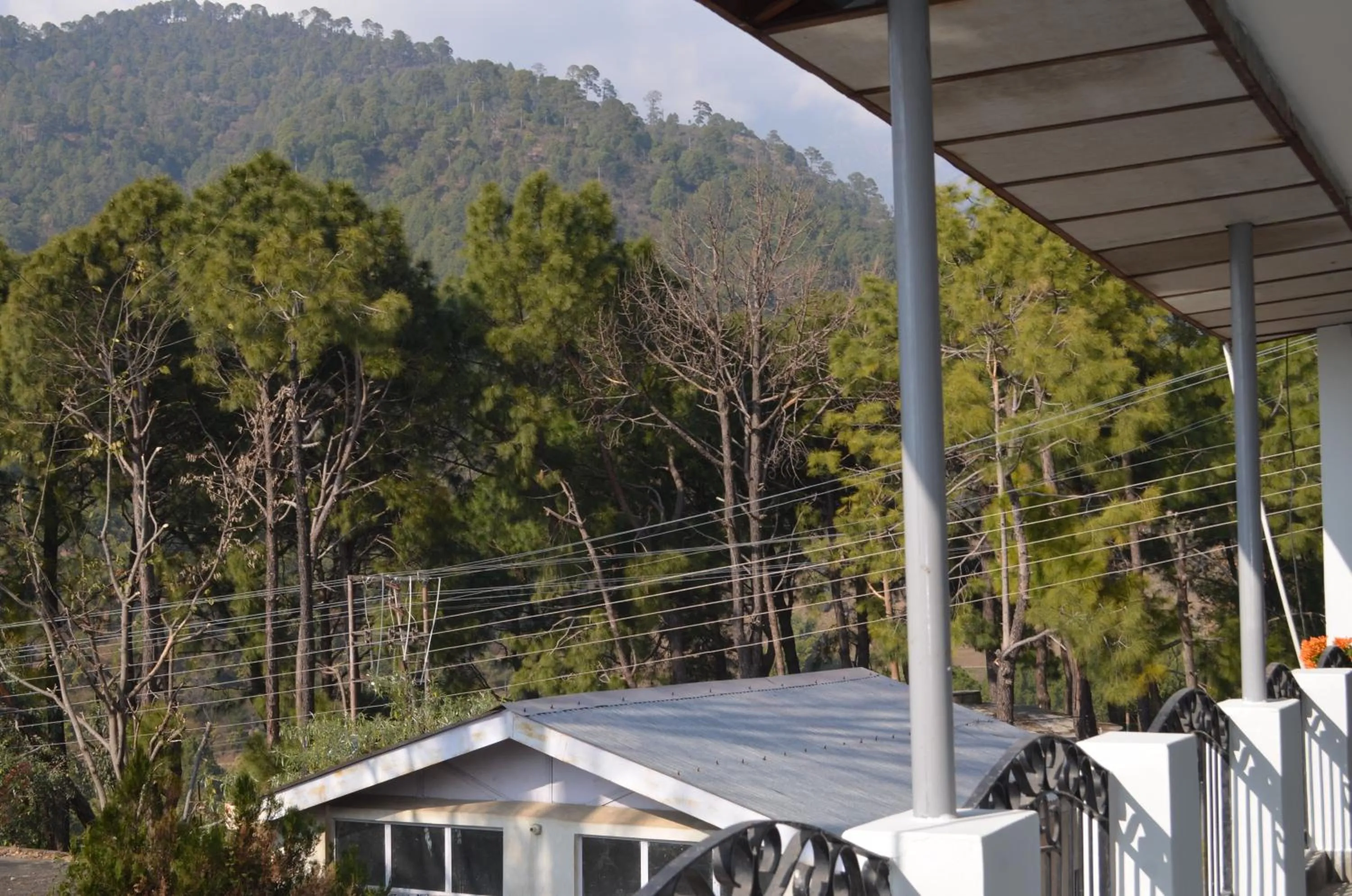 Hotel Centre Point Resorts Palampur