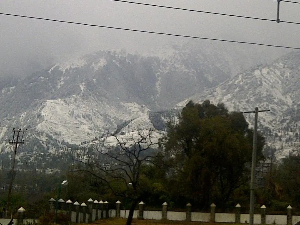 Other in Hotel Centre Point Resorts Palampur