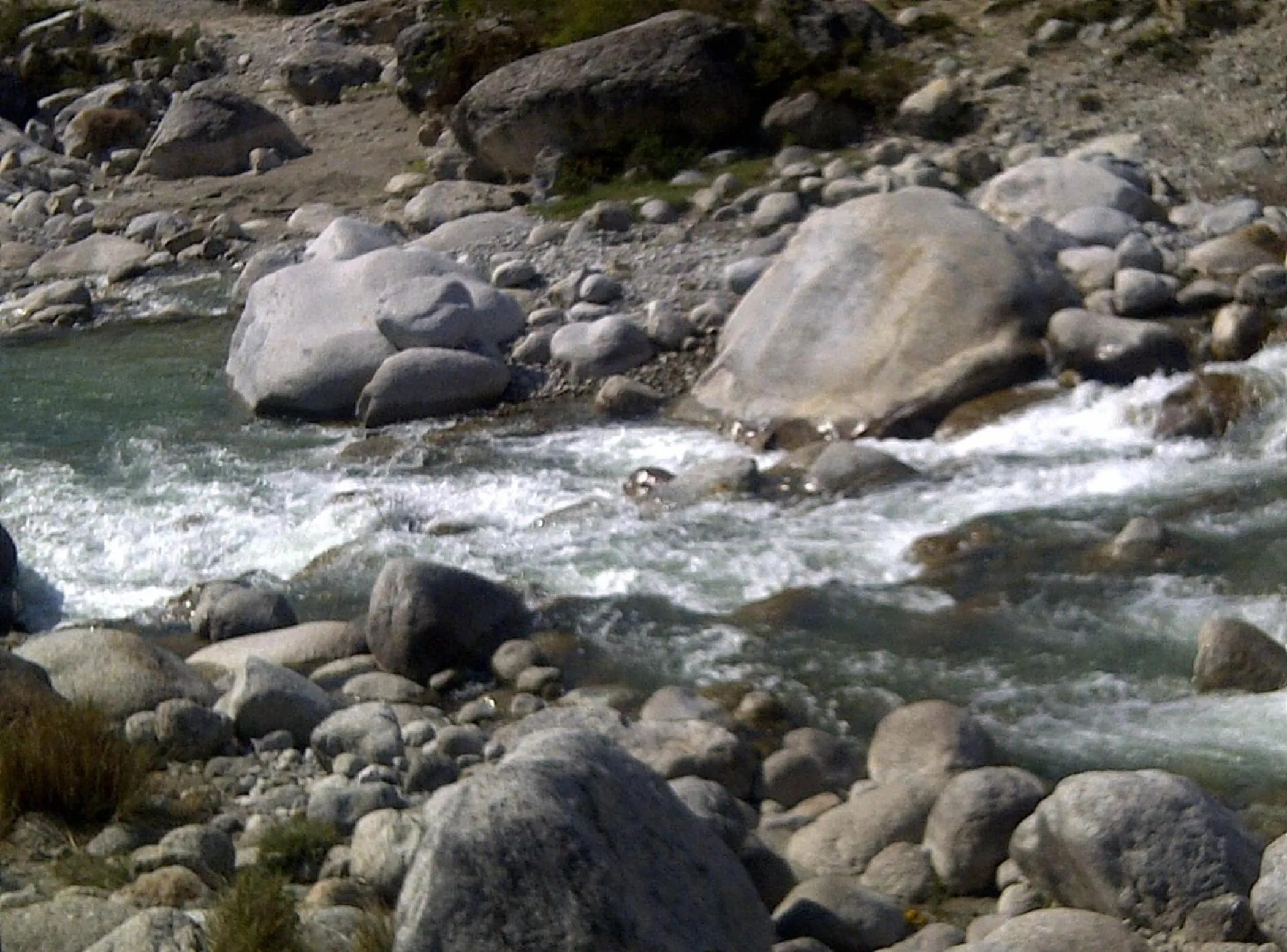 Natural landscape in Hotel Centre Point Resorts Palampur