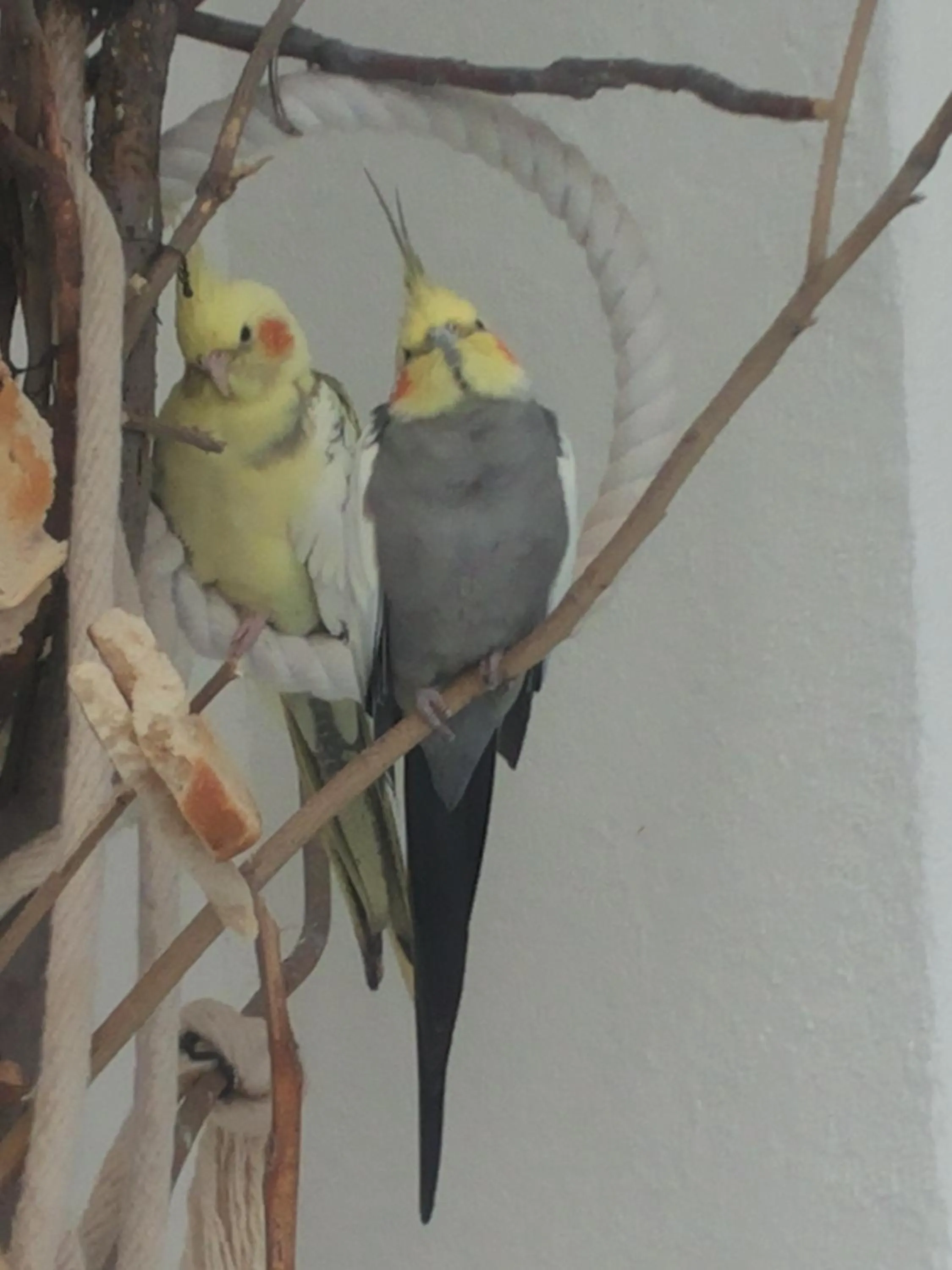 Other in HappyHostel