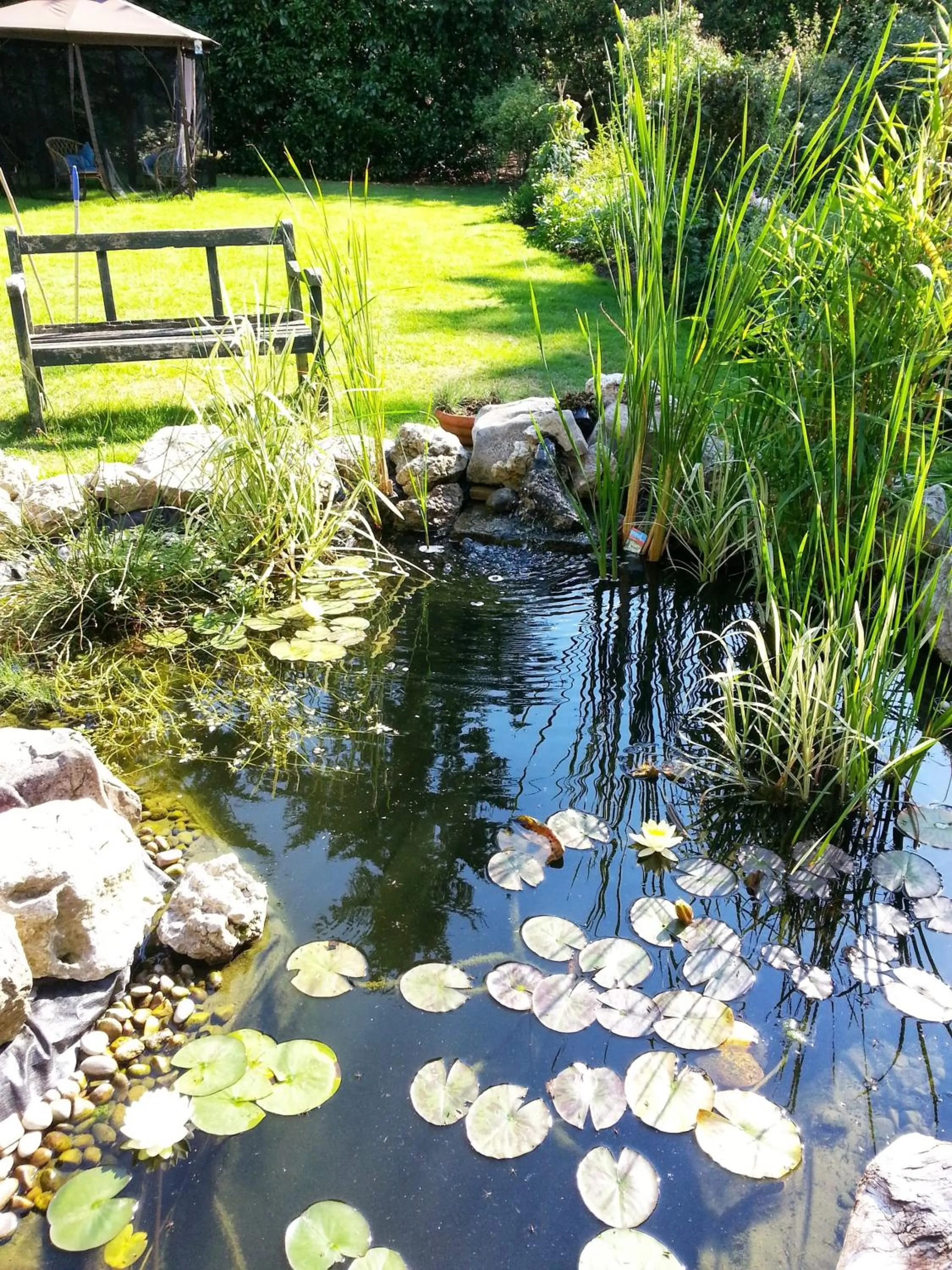 Facade/entrance in Rosemead Guest House