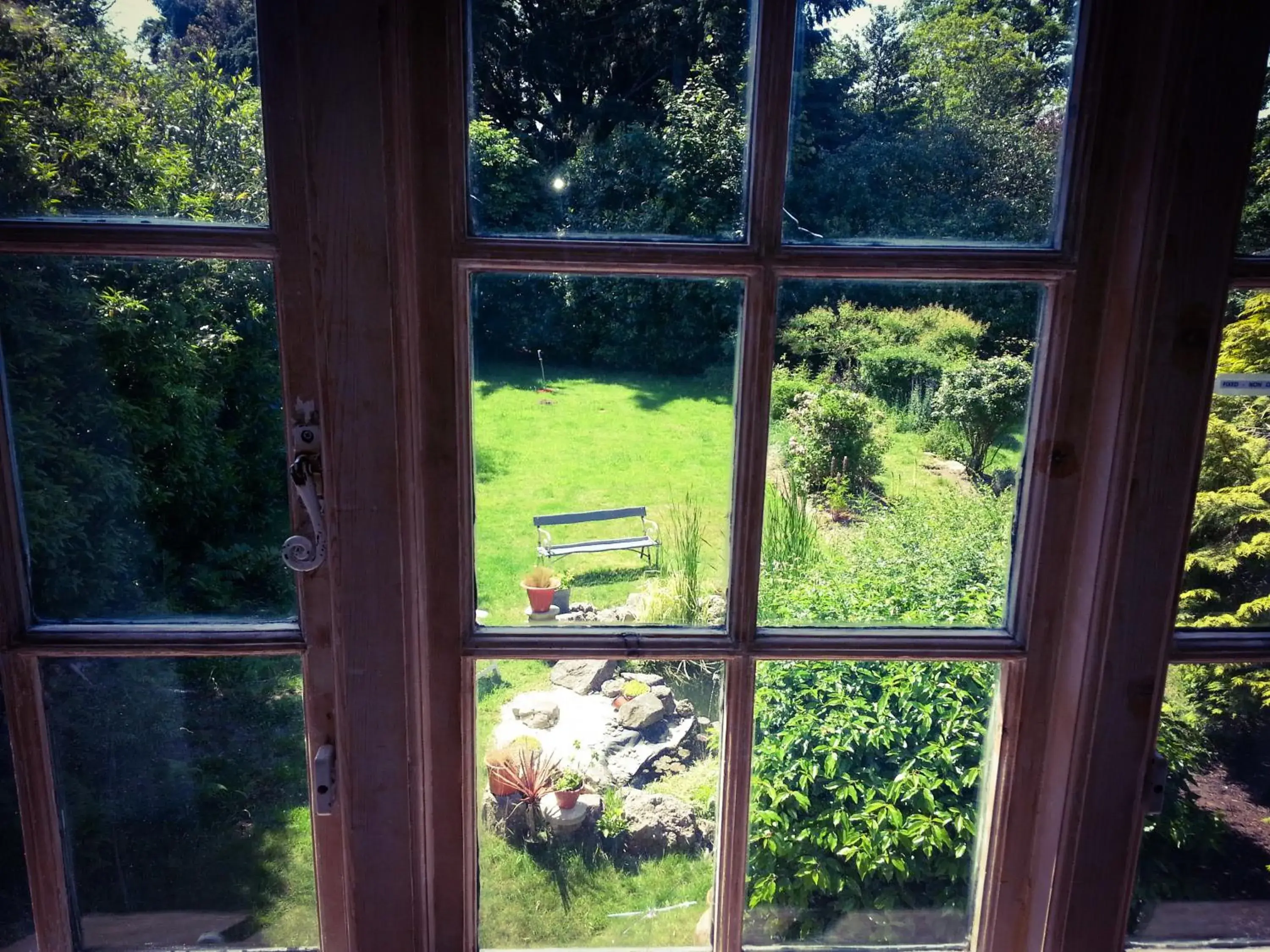 Garden view in Rosemead Guest House Garden view in Rosemead Guest House
