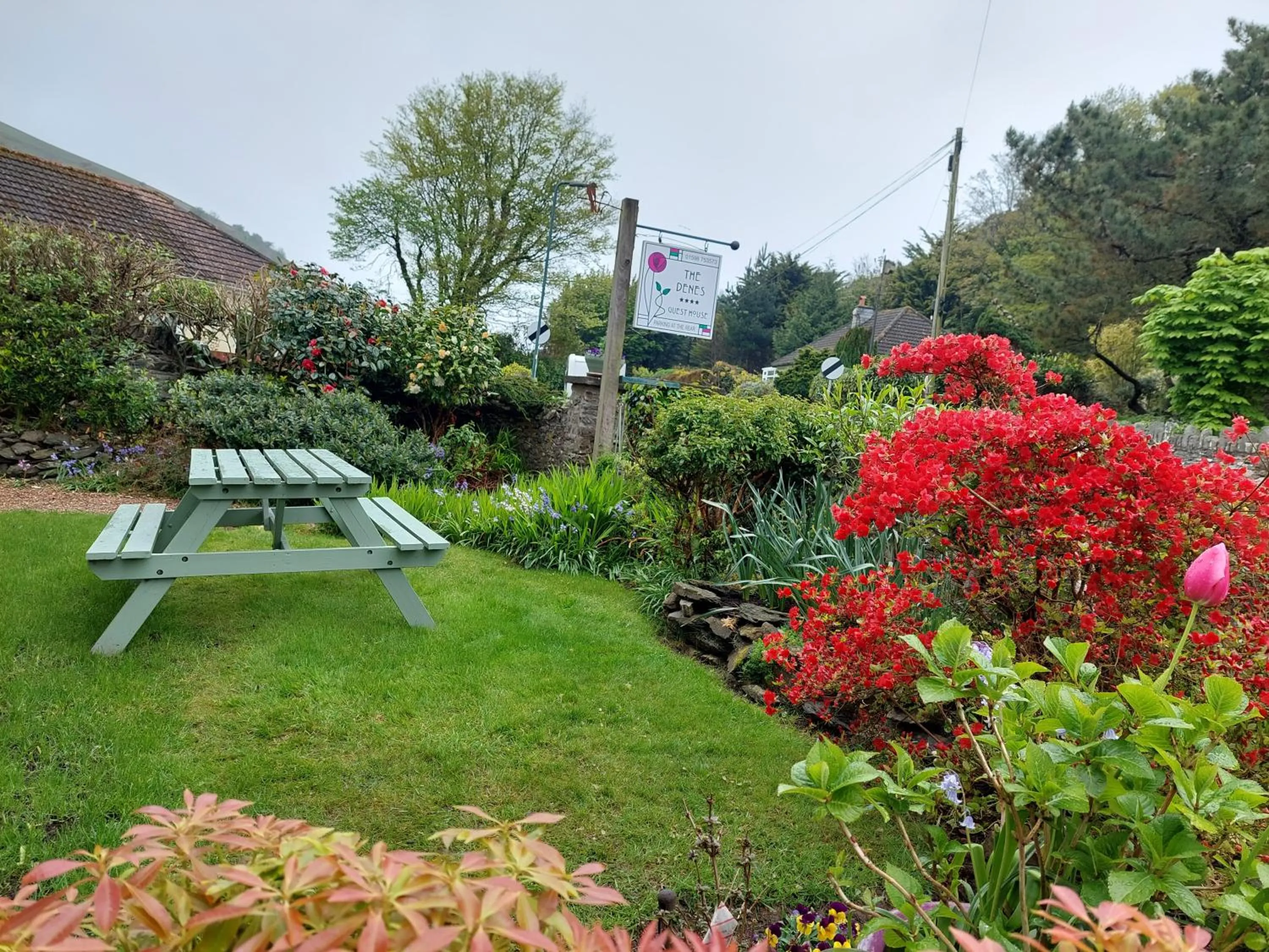 Garden in The Denes Guest House