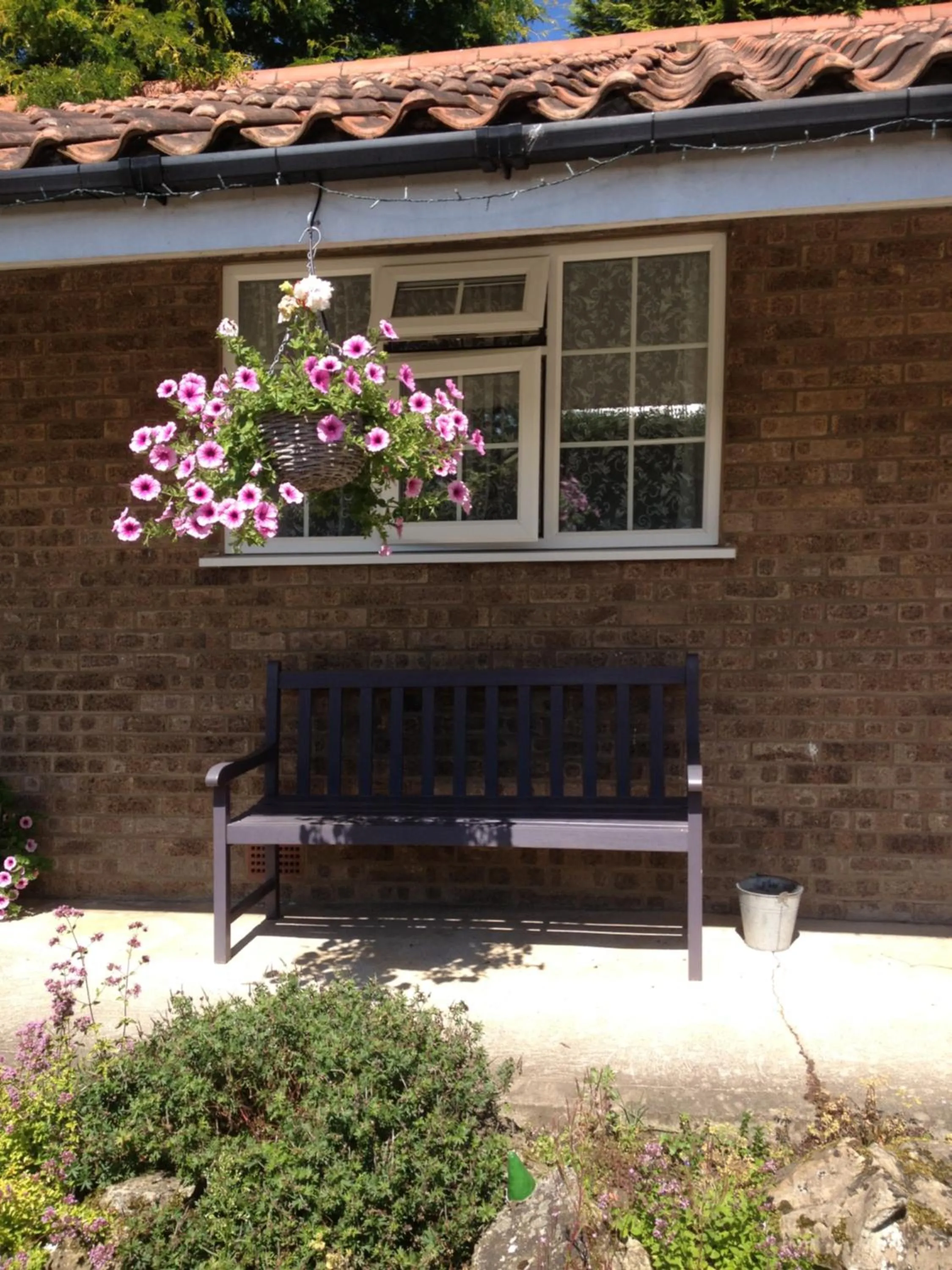 Patio in The New Inn Motel