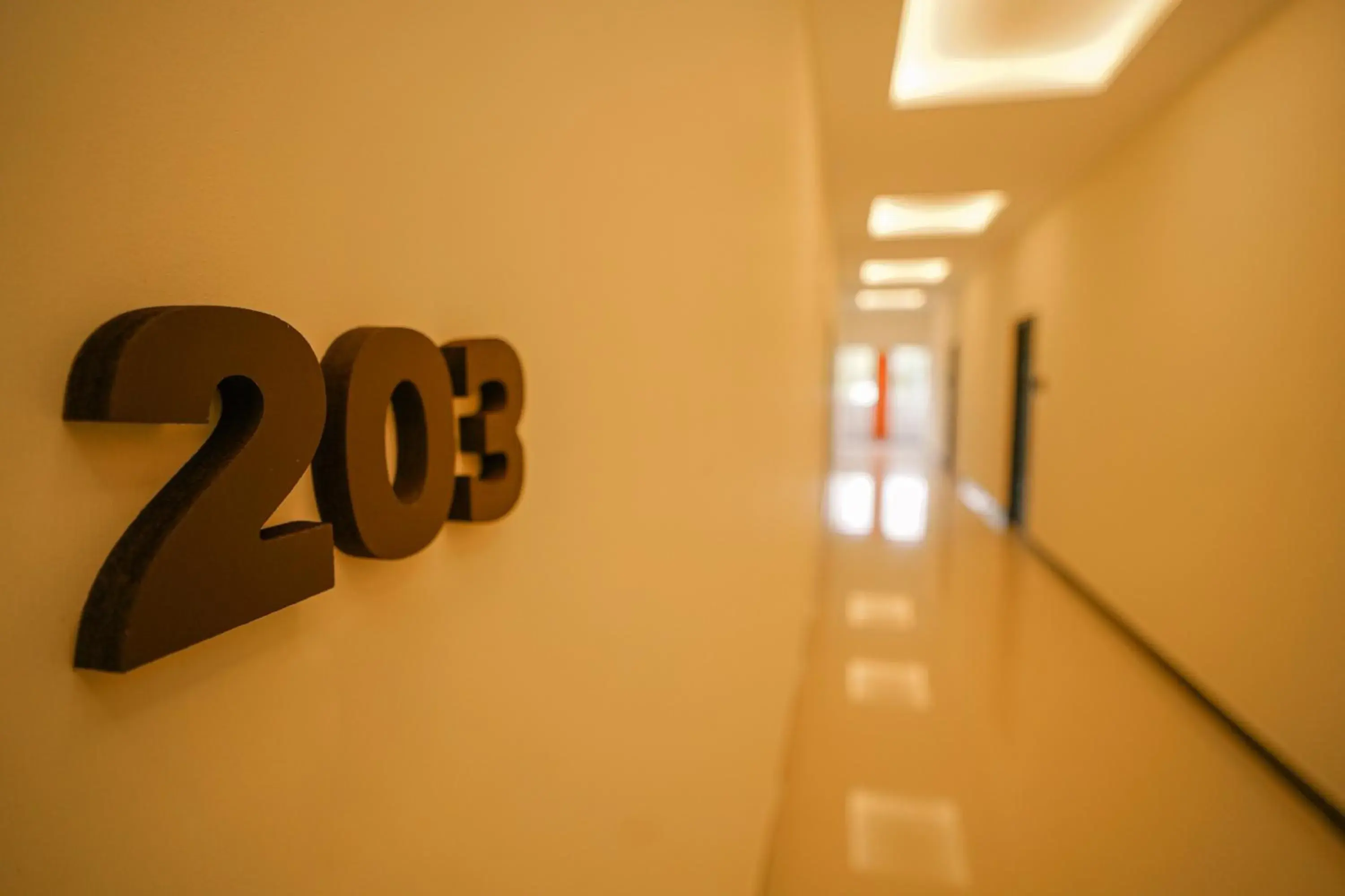 Property building in TPC Camphor Property building in TPC Camphor