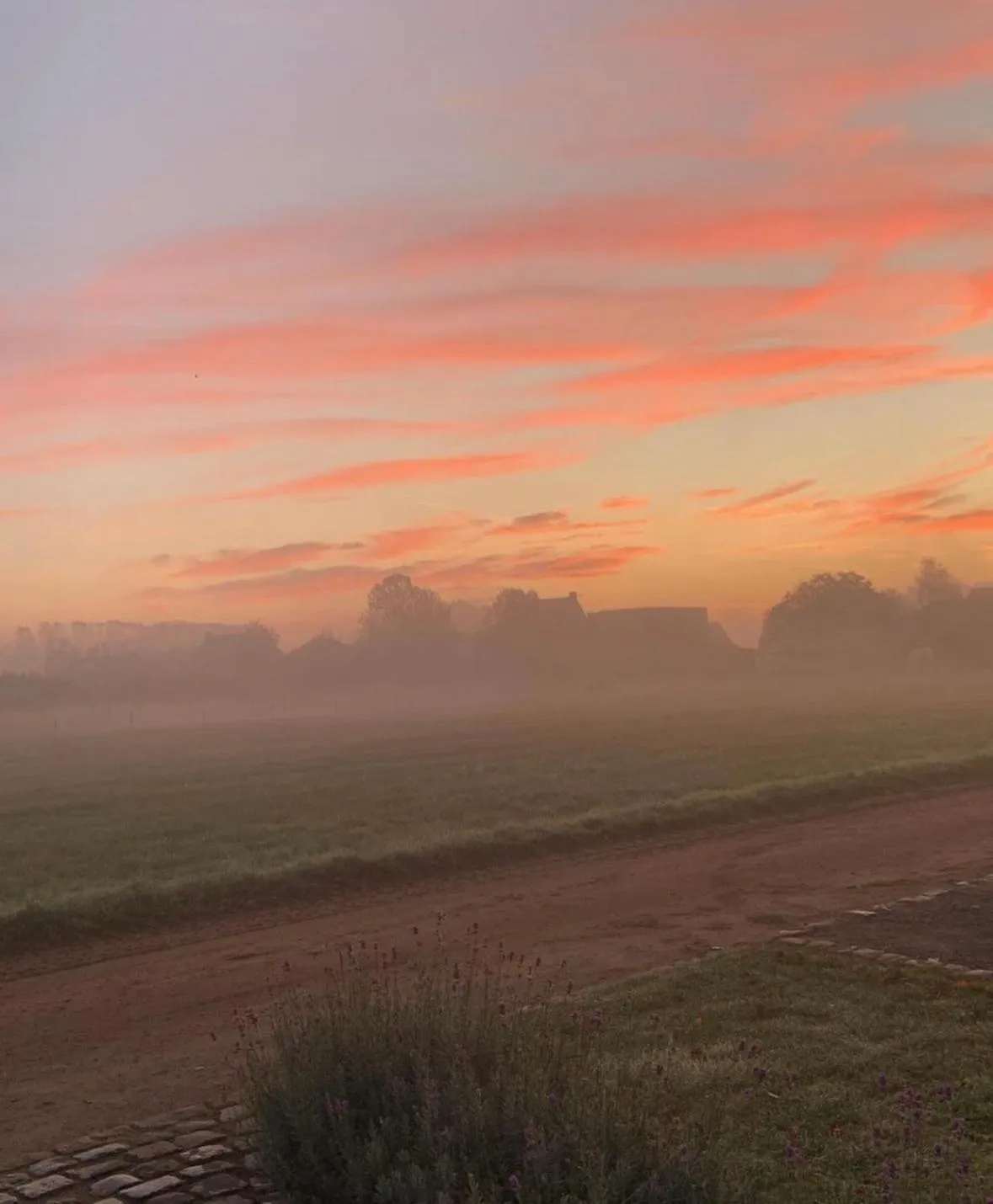 Garden in B&B Droomzoet