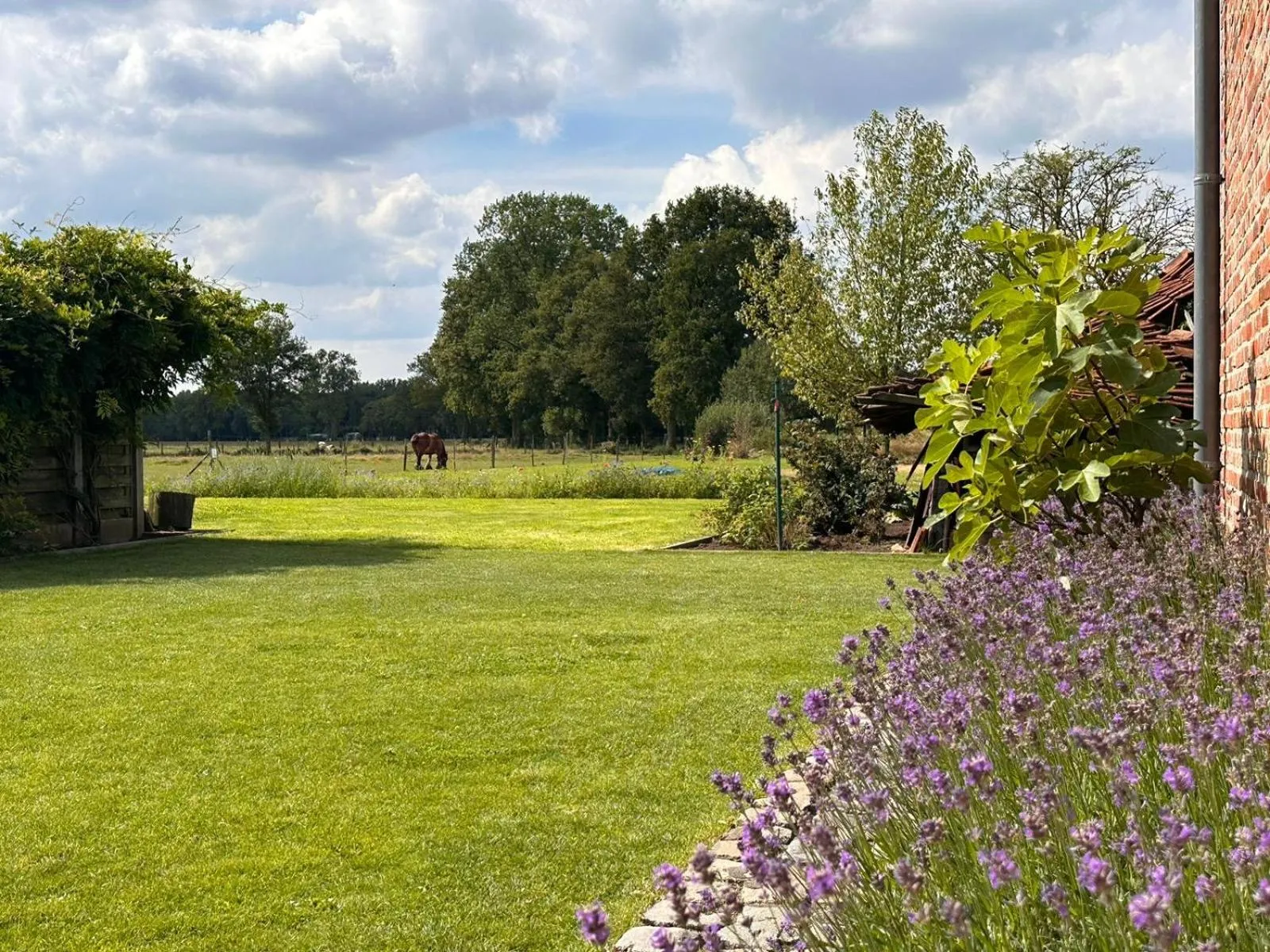 Garden in B&B Droomzoet