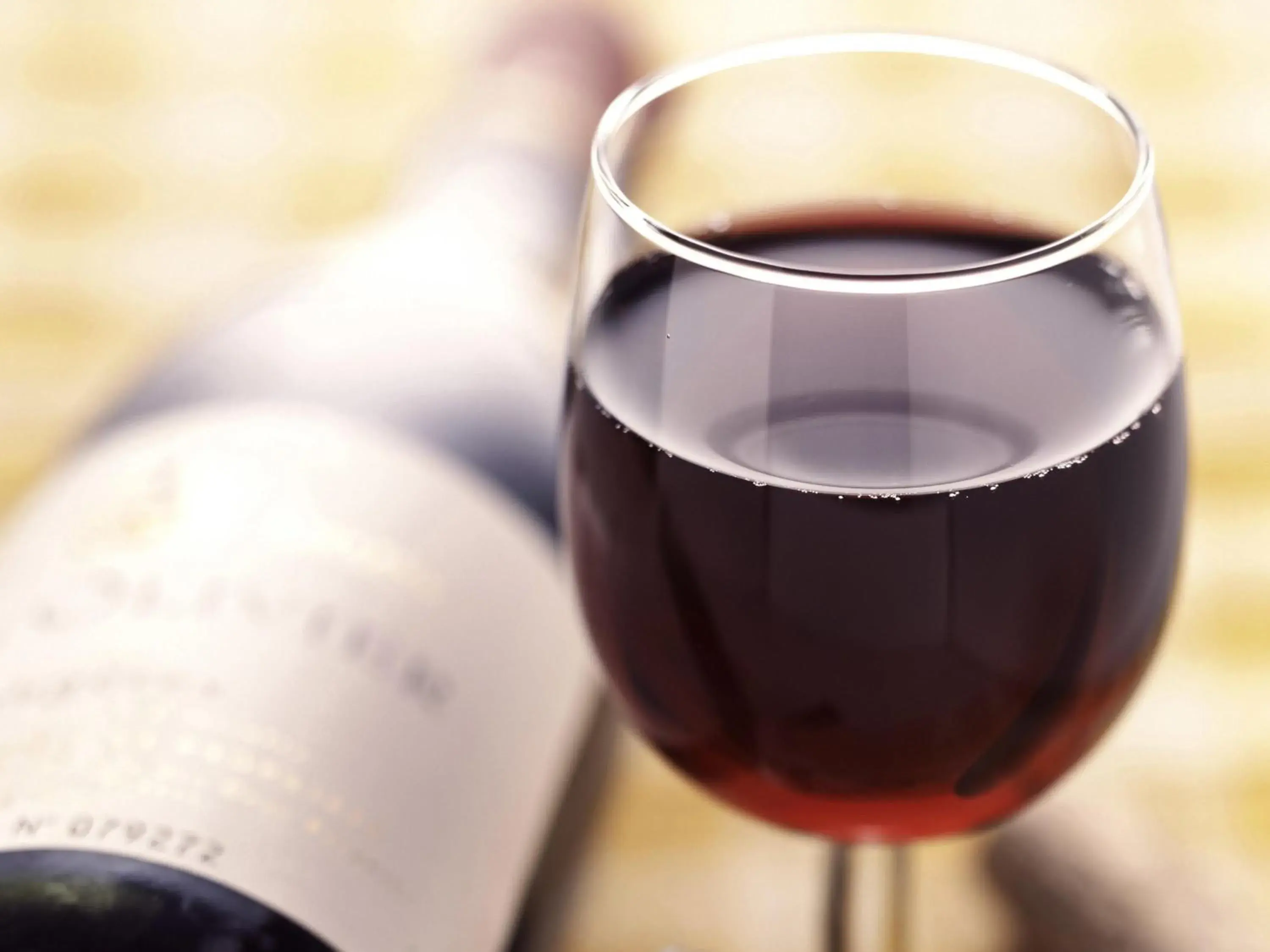 Lounge or bar in Ibis Schiphol Amsterdam Airport Lounge or bar in Ibis Schiphol Amsterdam Airport