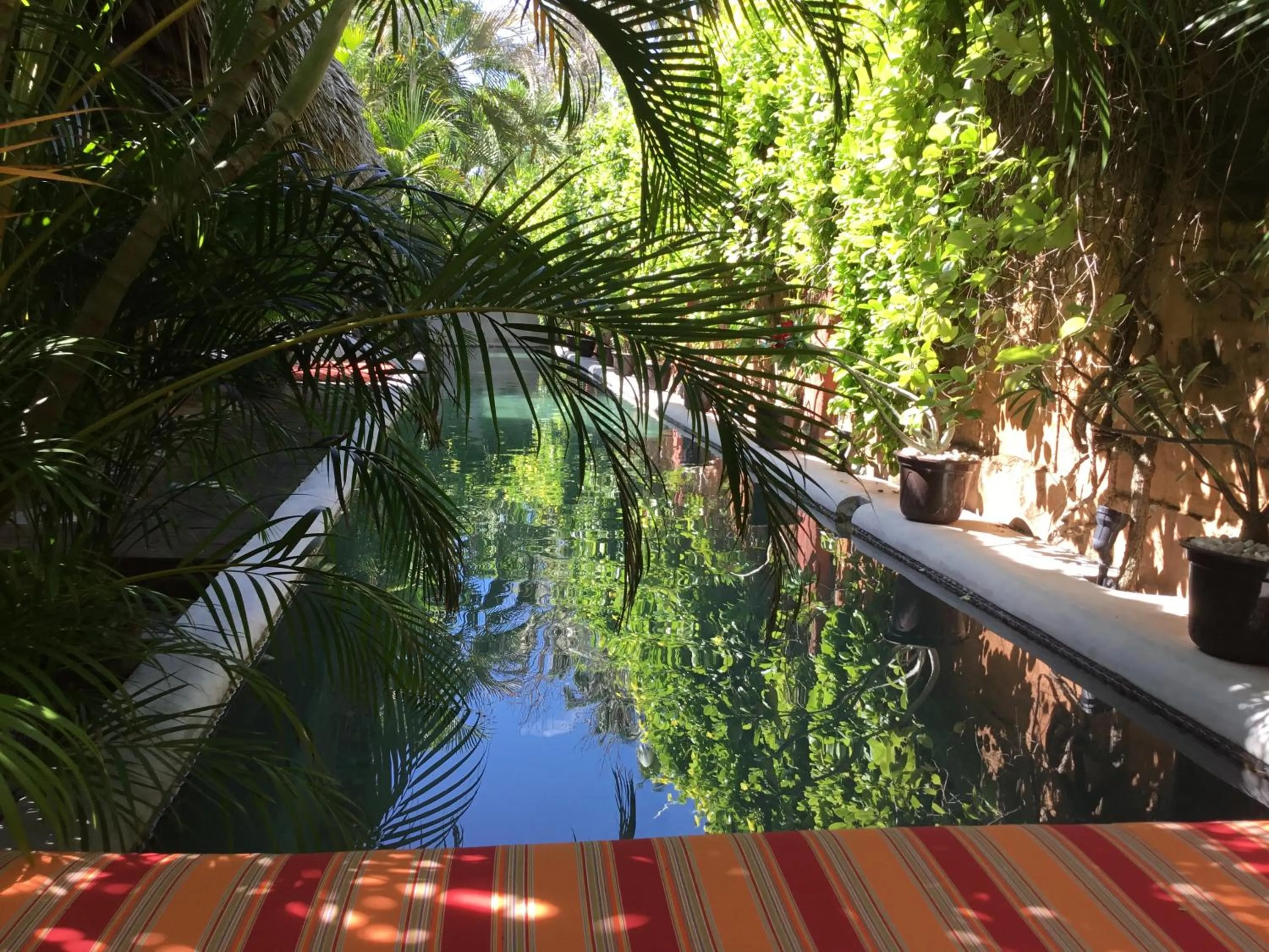 Balcony/Terrace in Hacienda La Rusa