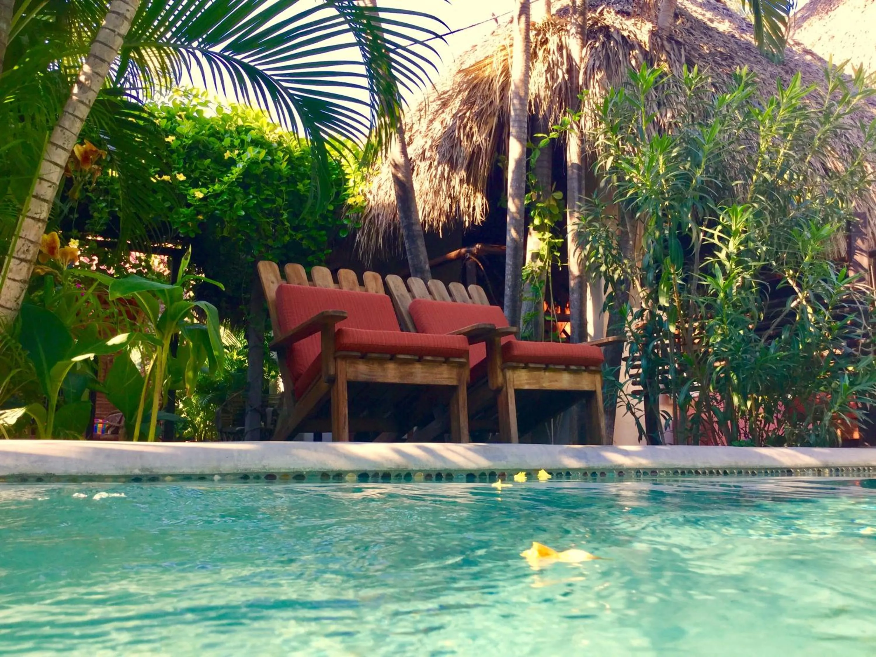 Garden in Hacienda La Rusa