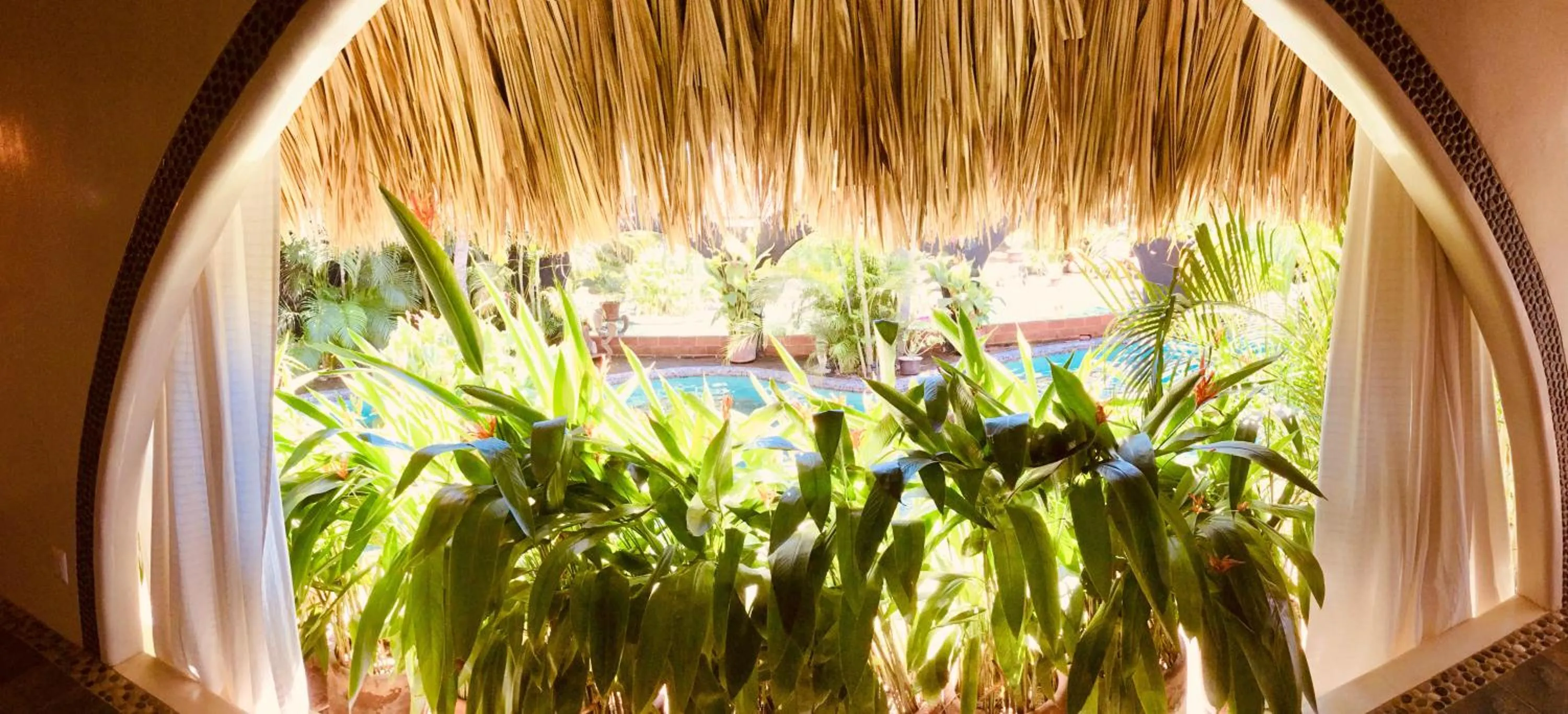 Pool view in Hacienda La Rusa