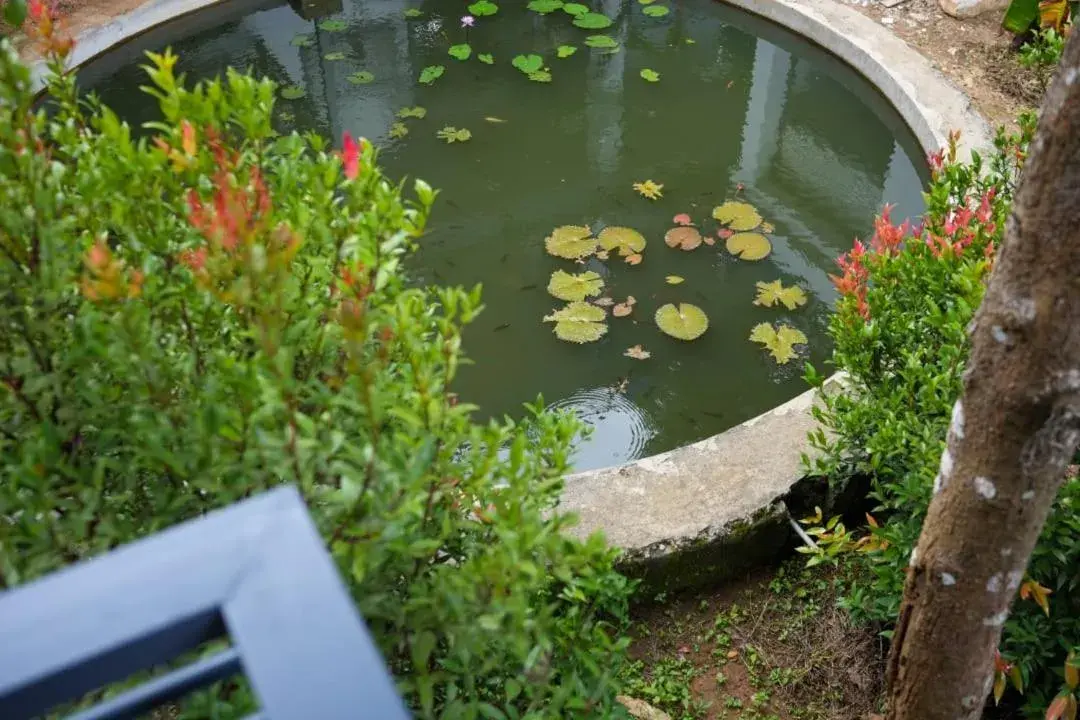 Garden view in B'camp Resorts & Homestays Garden view in B'camp Resorts & Homestays