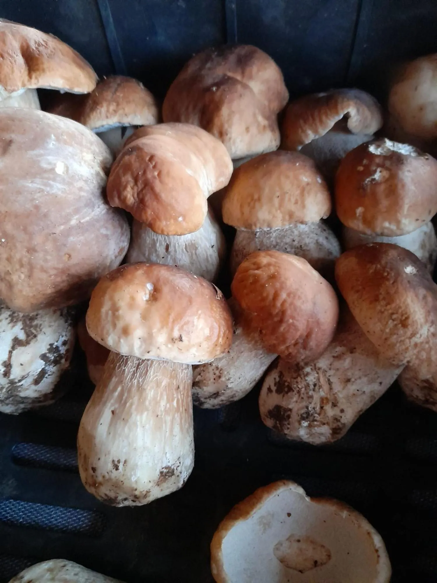 Restaurant/places to eat in Hotel Ristorante La Baitina