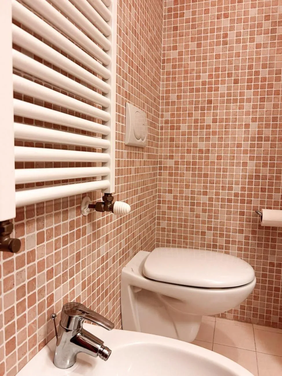 Toilet in Hotel Ristorante La Baitina