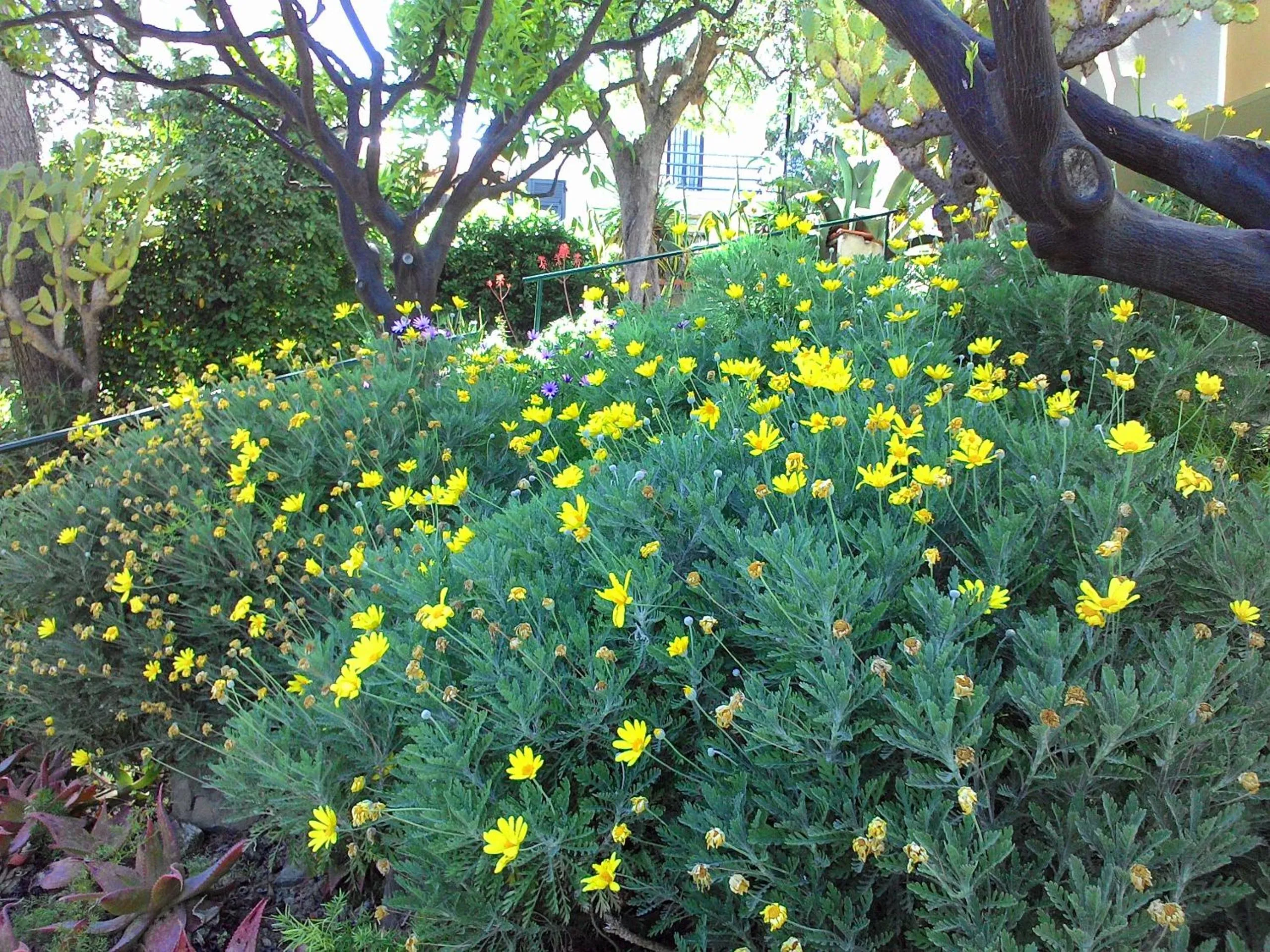 Garden in Residence La Carruba