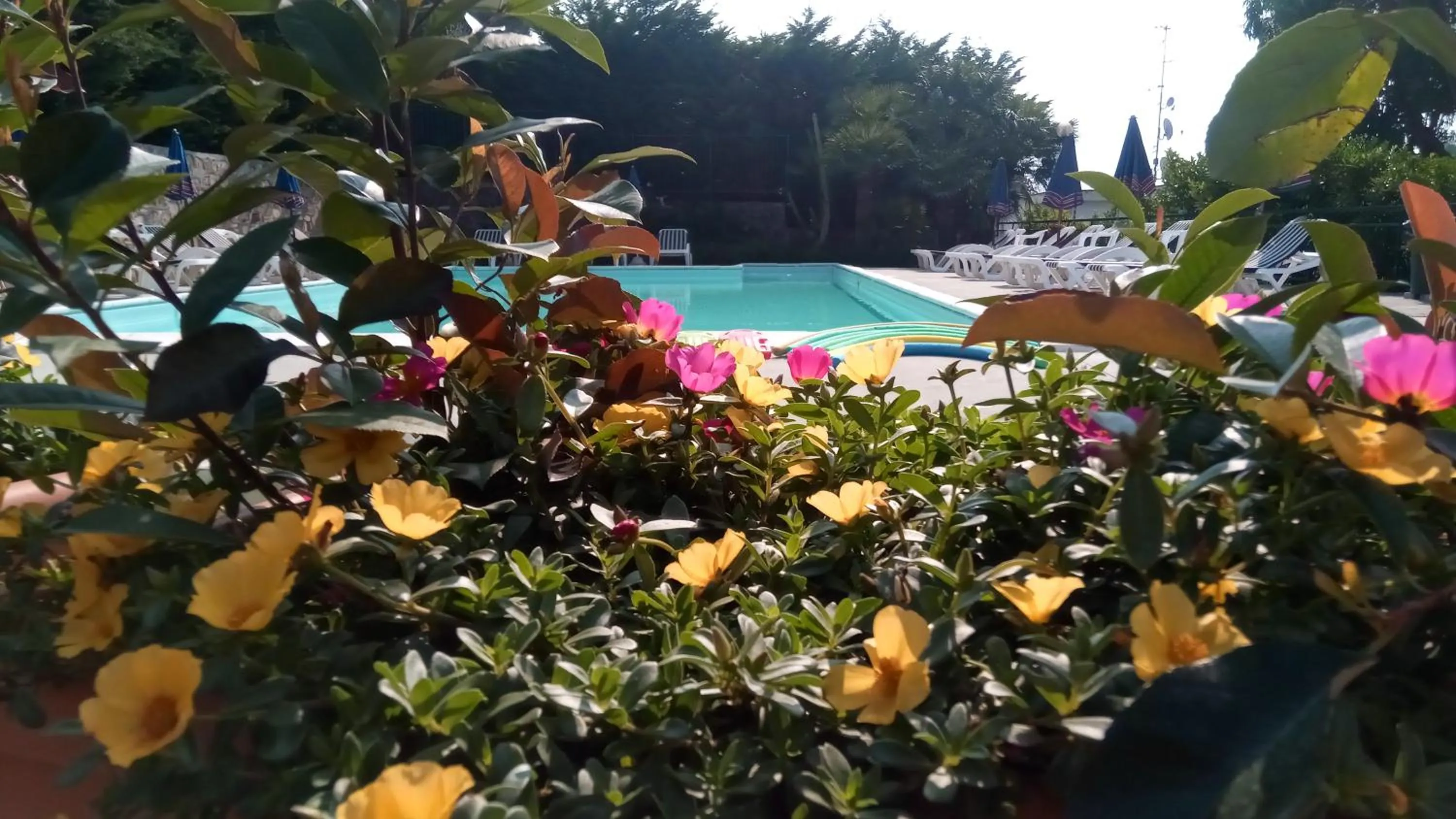 Summer in Residence La Carruba