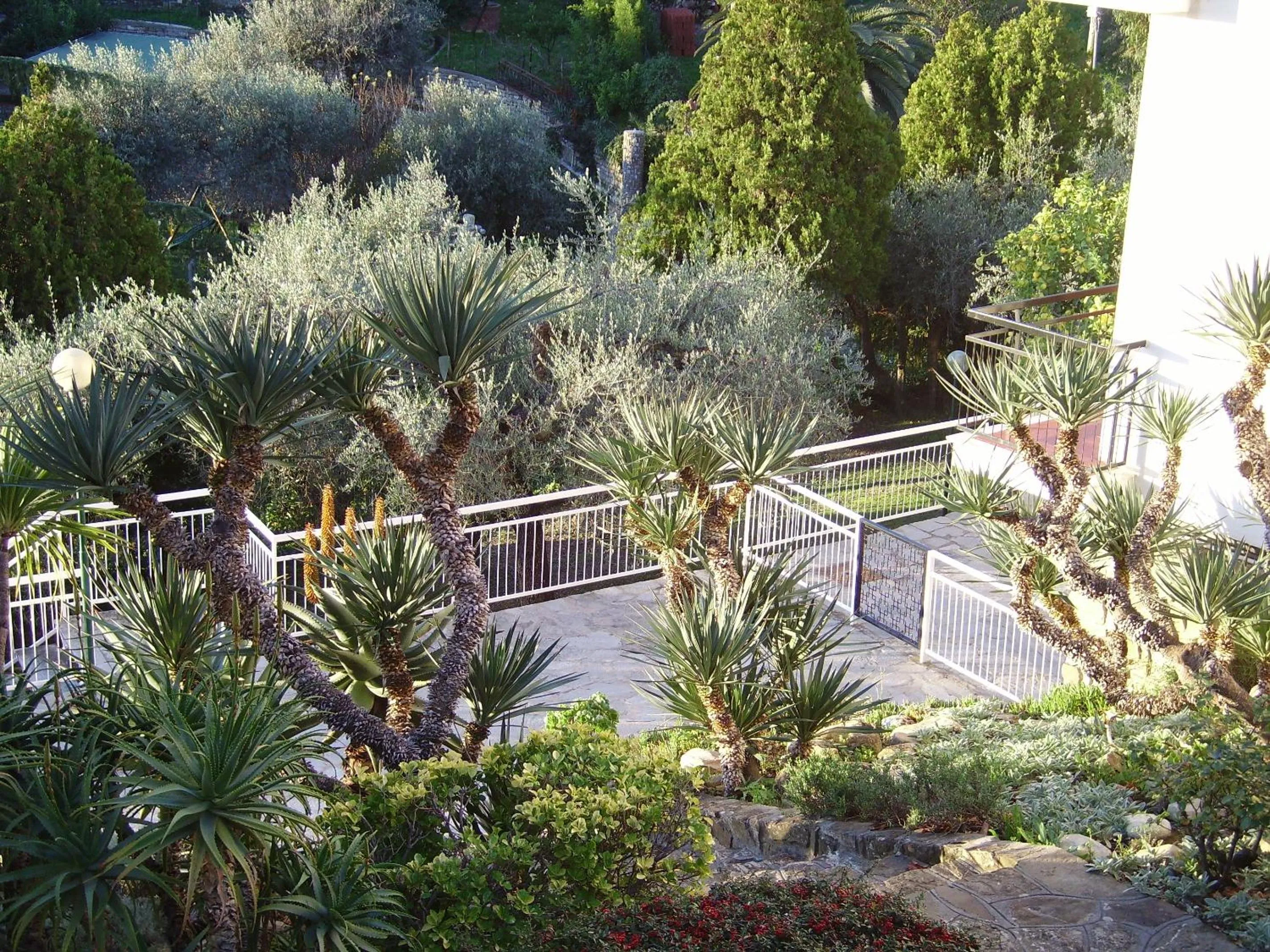 Garden in Residence La Carruba
