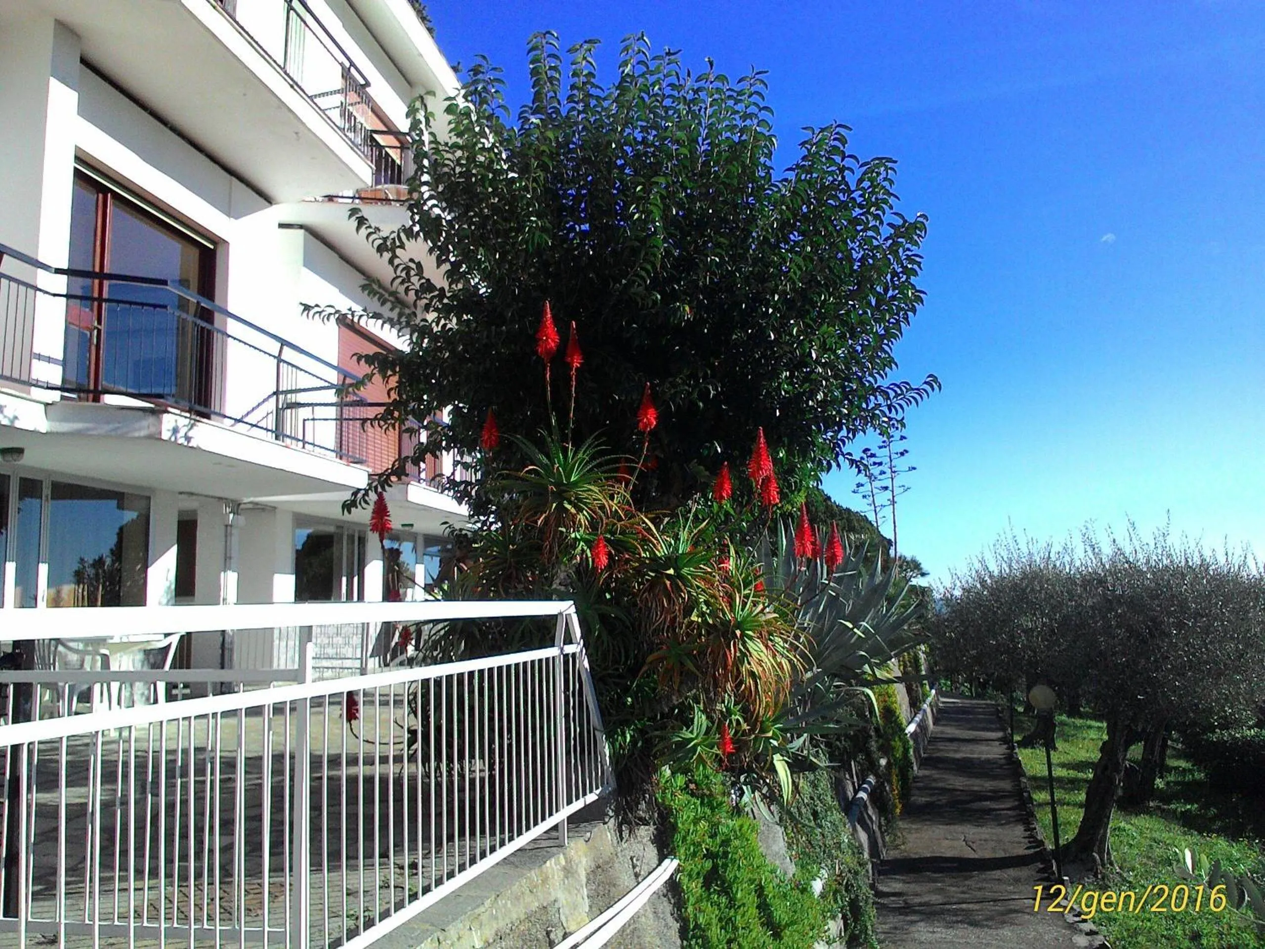 Property building in Residence La Carruba