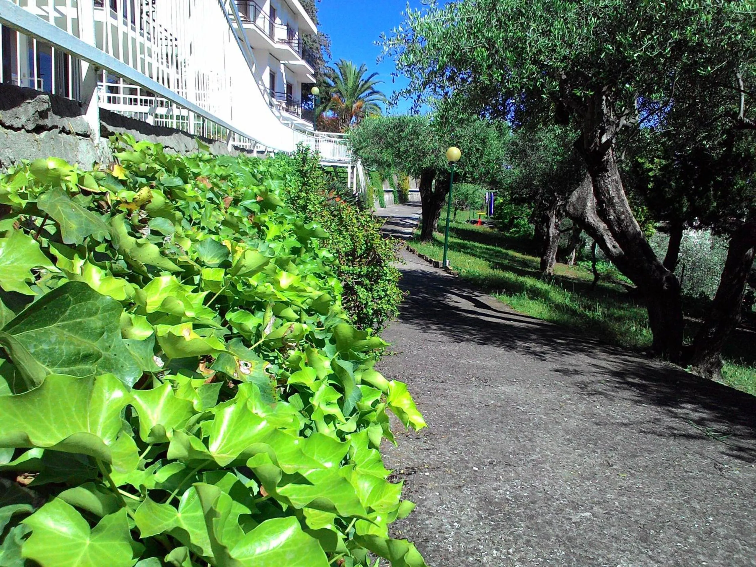 Garden in Residence La Carruba