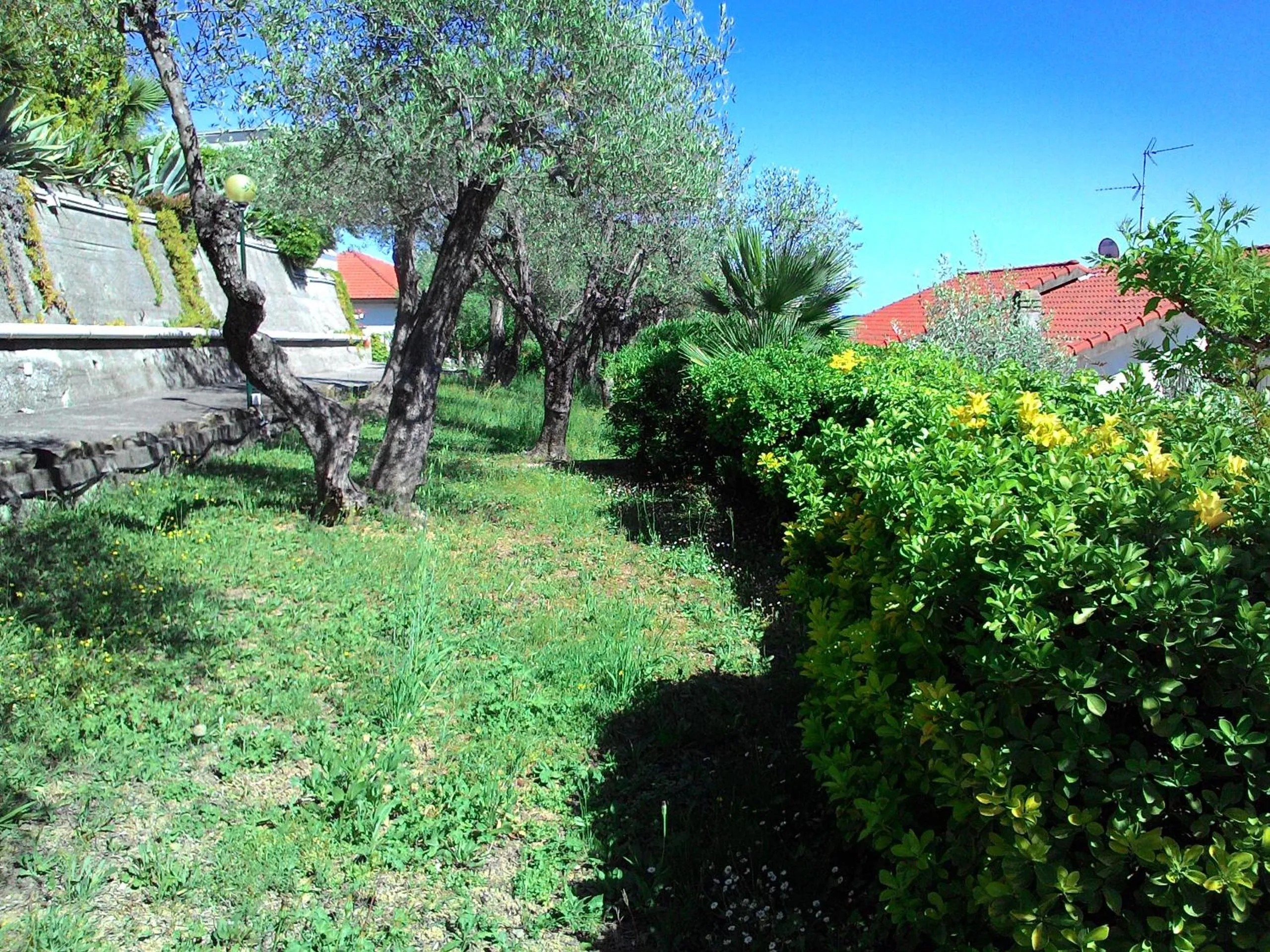 Garden in Residence La Carruba