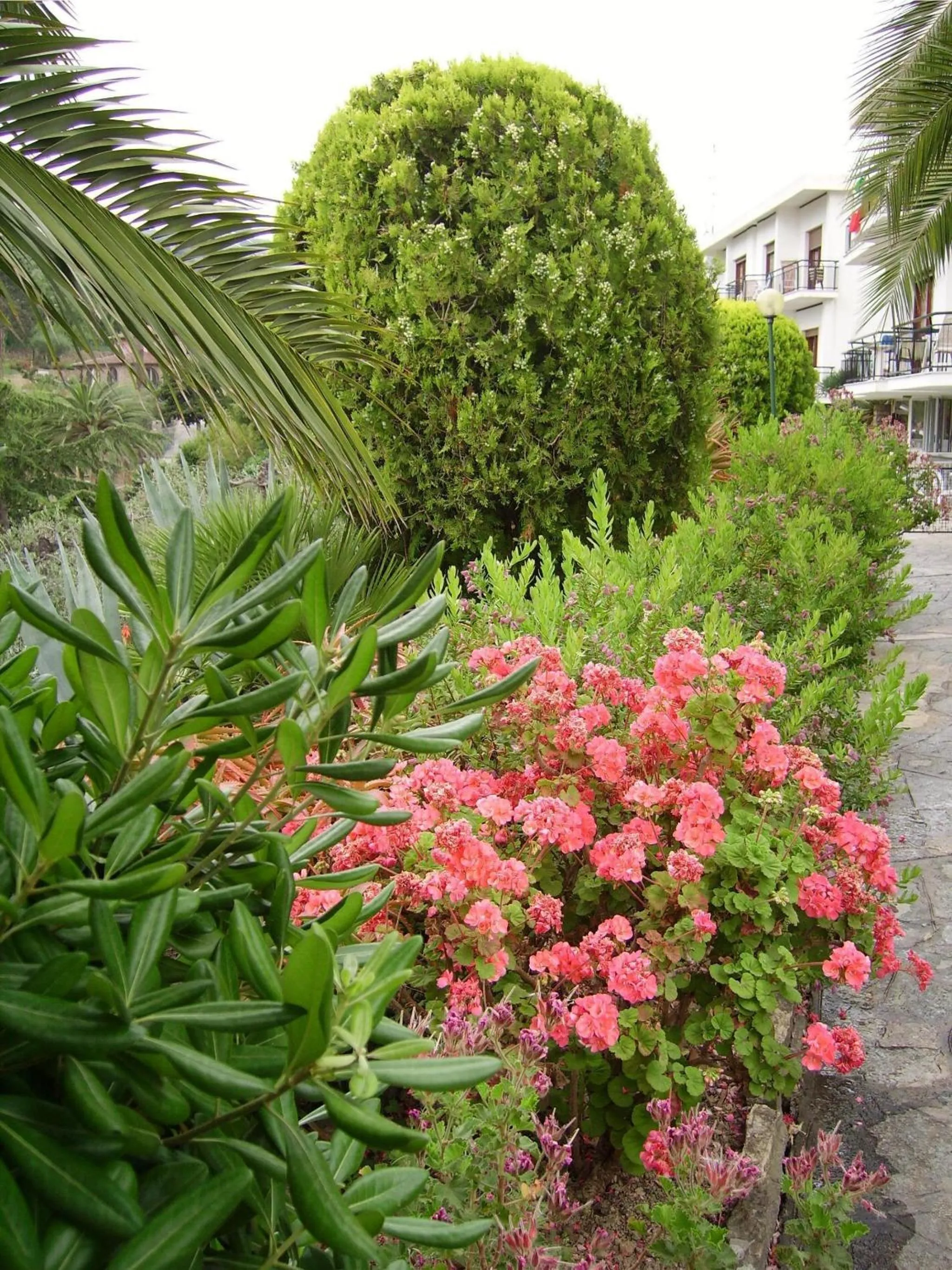 Property building in Residence La Carruba