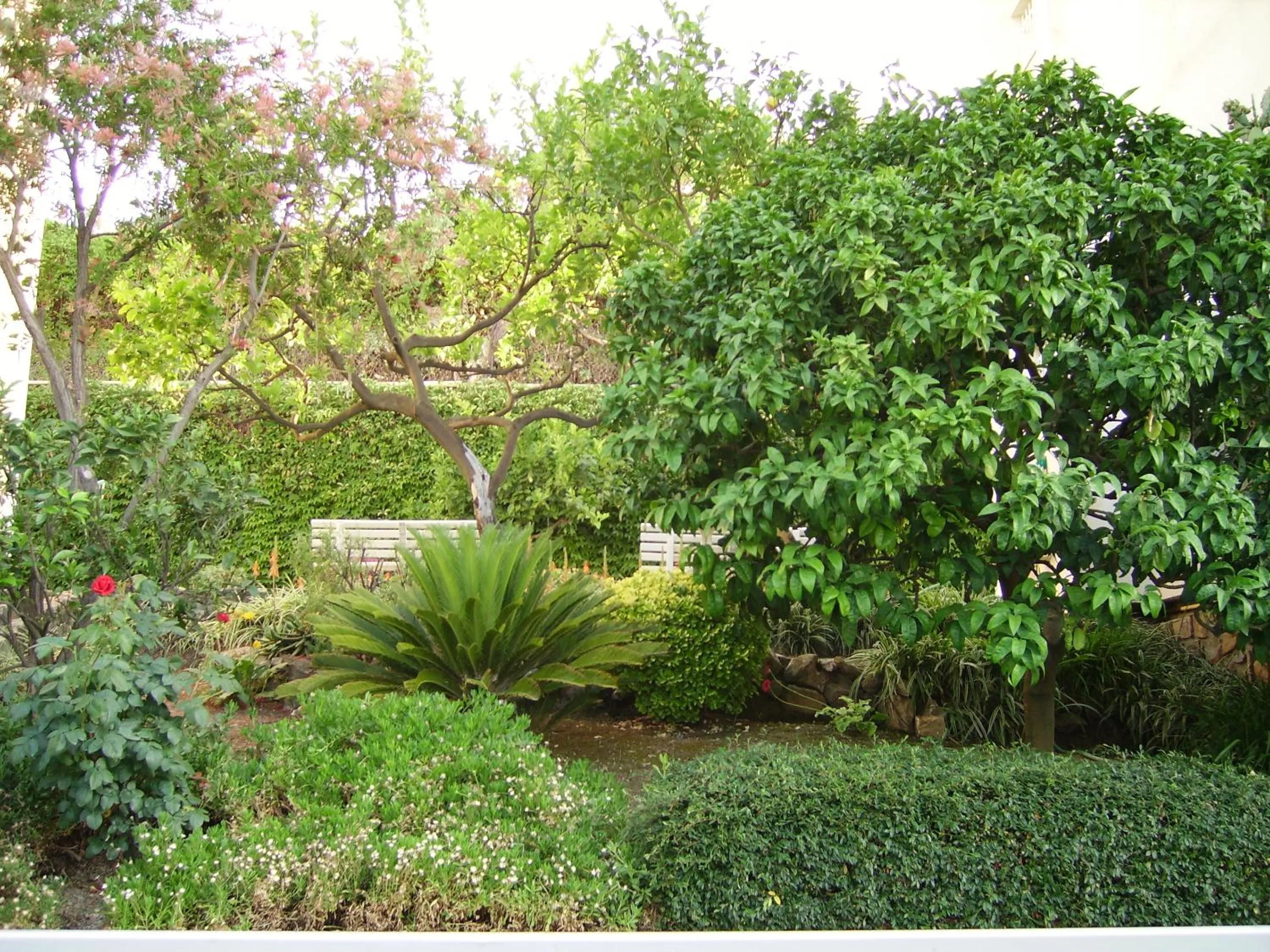 Garden in Residence La Carruba
