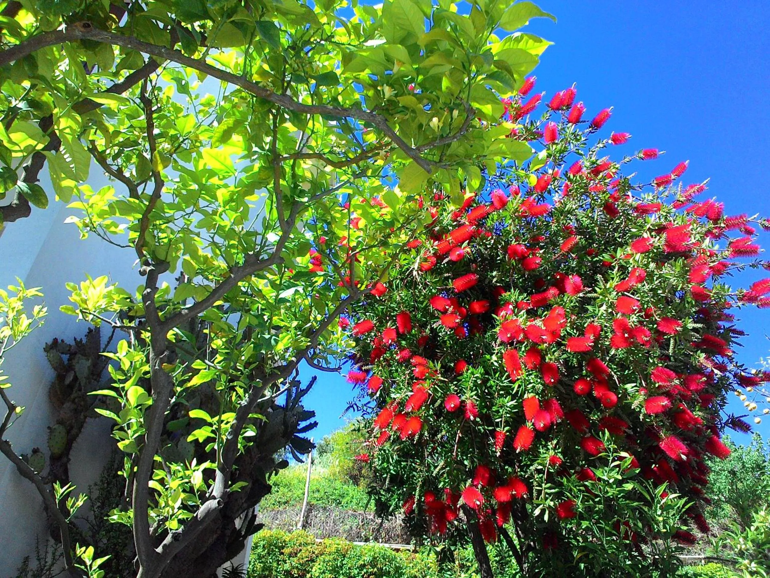 Garden in Residence La Carruba